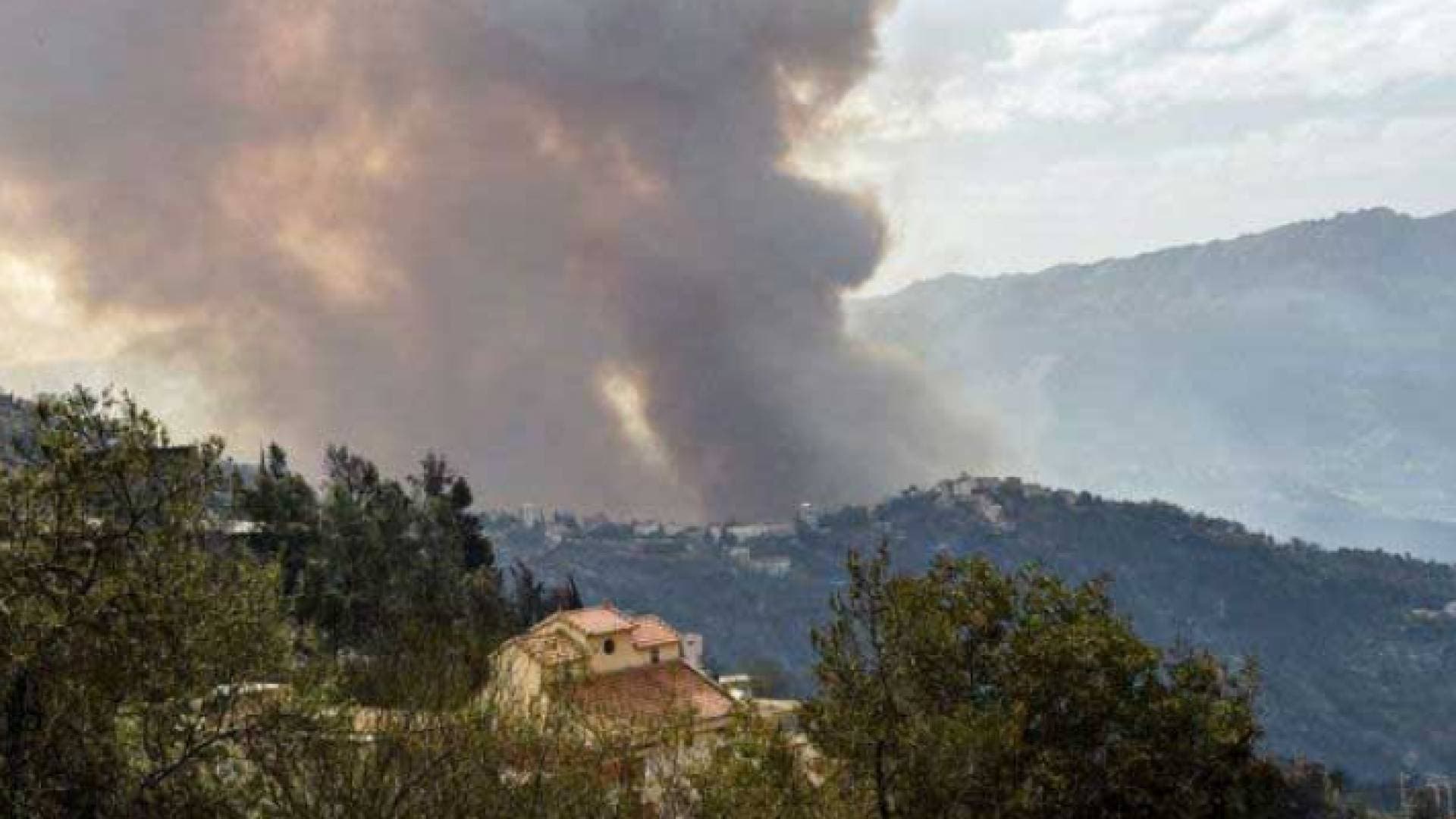 قتلى في حريق غابة في الجزائر