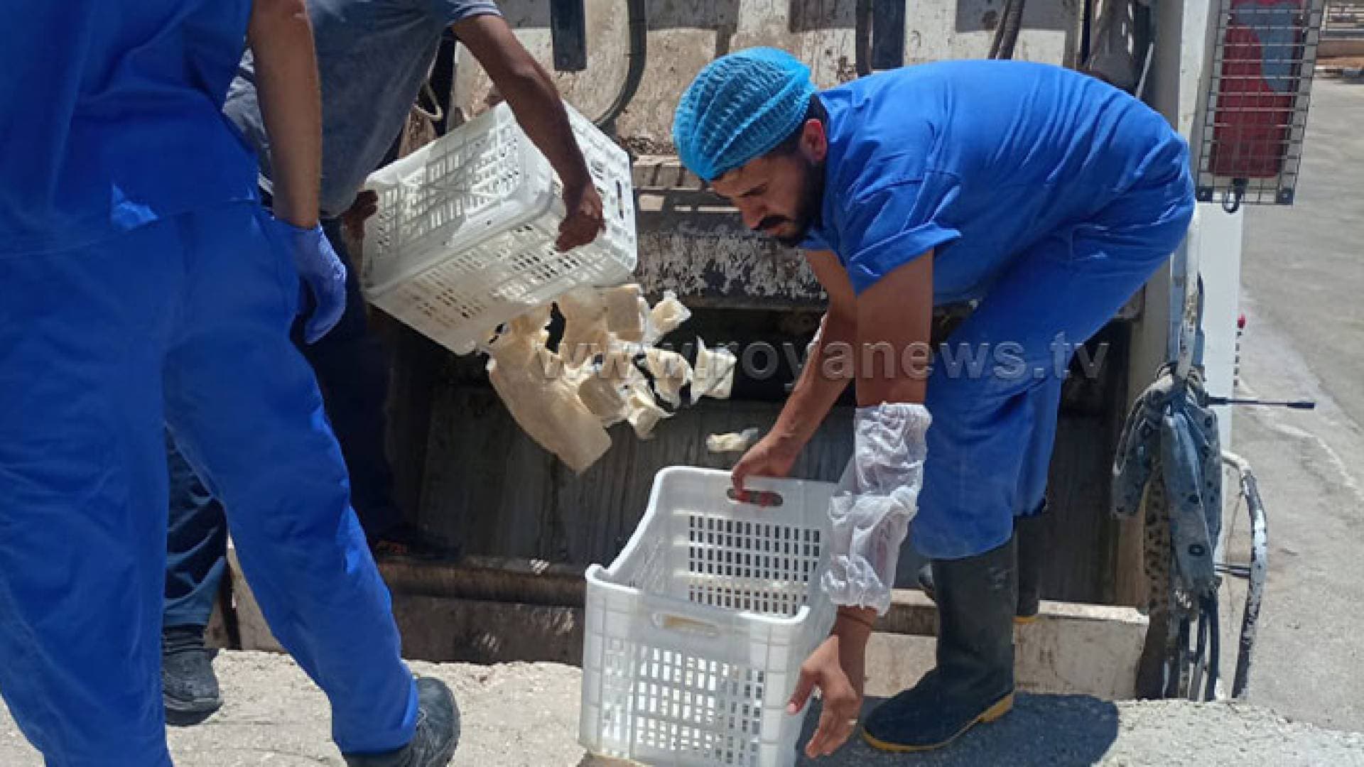 ضبط ١٠٠ طن أجبان غير صالحة للاستهلاك البشري في المفرق