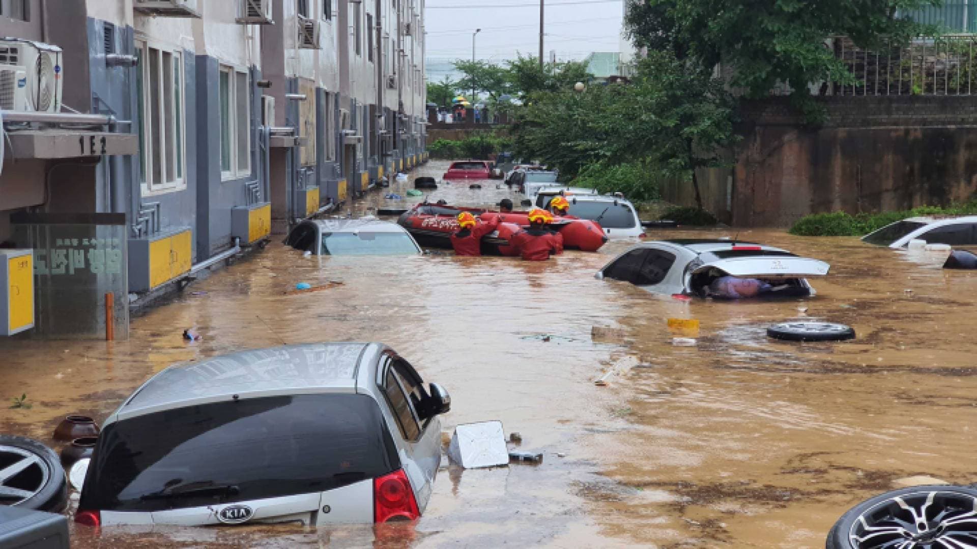 قتلى بسبب الأمطار الغزيرة في كوريا الجنوبية