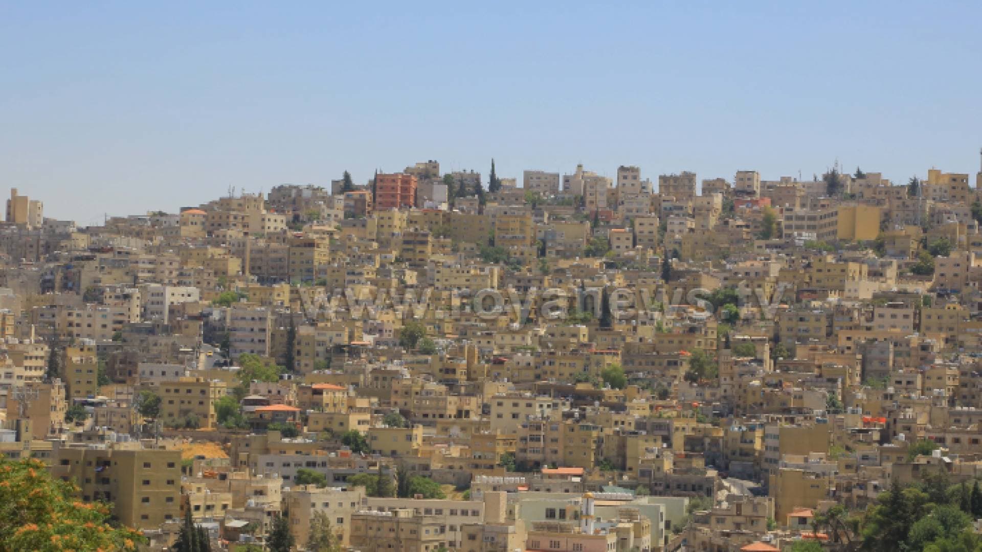 أحداث مؤسفة أثارت الأردنيين في عيد الأضحى