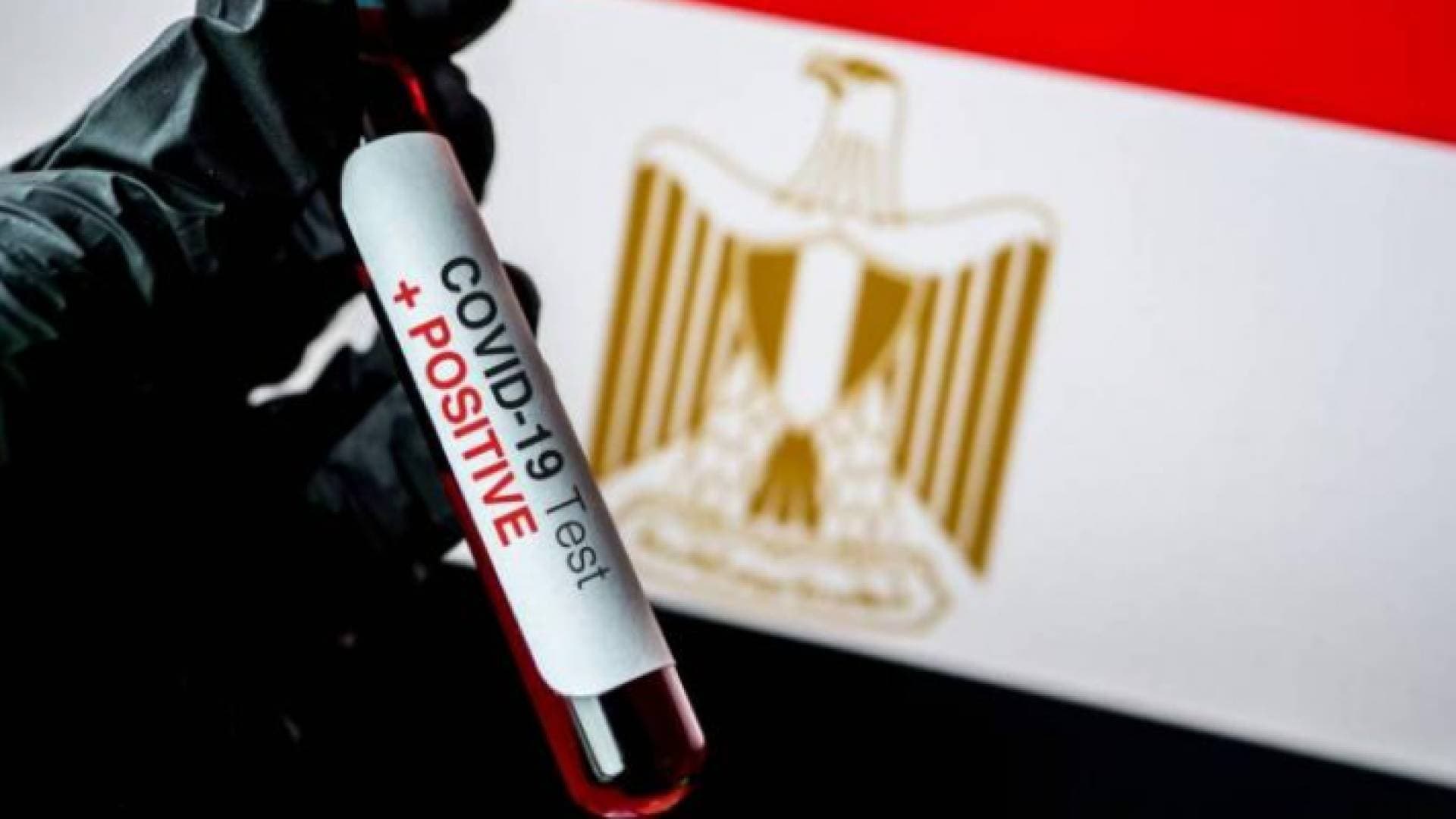 موجة جديدة من كورونا في مصر