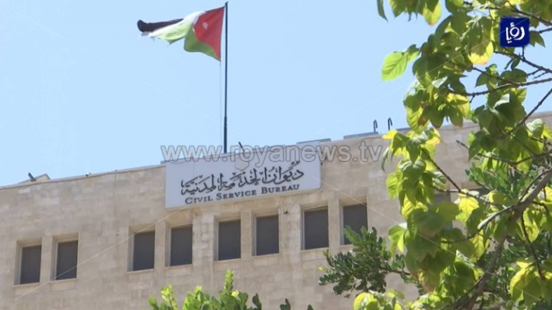 ٣٩ تخصصا راكدا في الجامعات والكليات سيتم التوقف عن استقبالها - فيديو