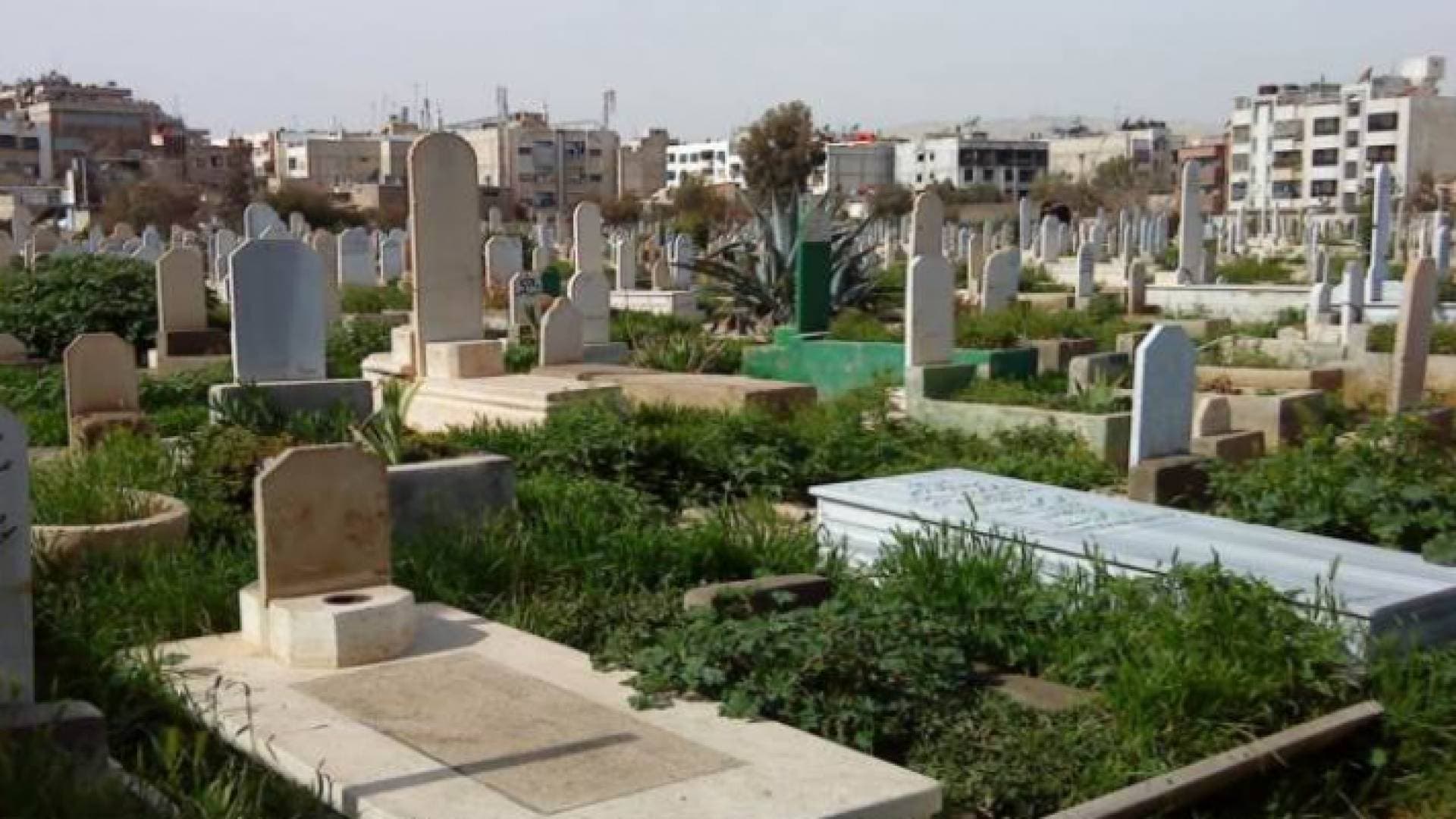 بعد نبش قبرها.. مصدر يرجح سبب وفاة رضيعة الزرقاء