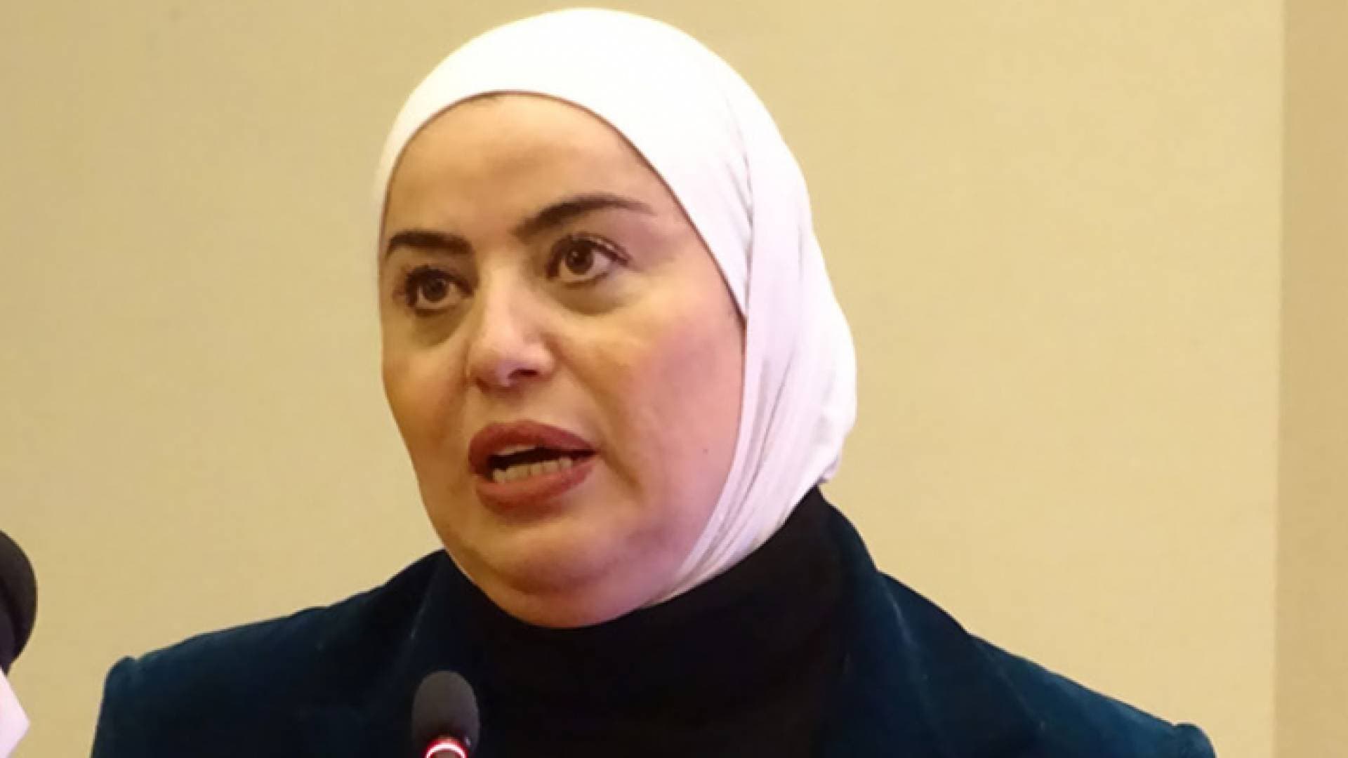 وزيرة التنمية: المرأة ما تزال تواجه تحديات كثيرة في أماكن العمل