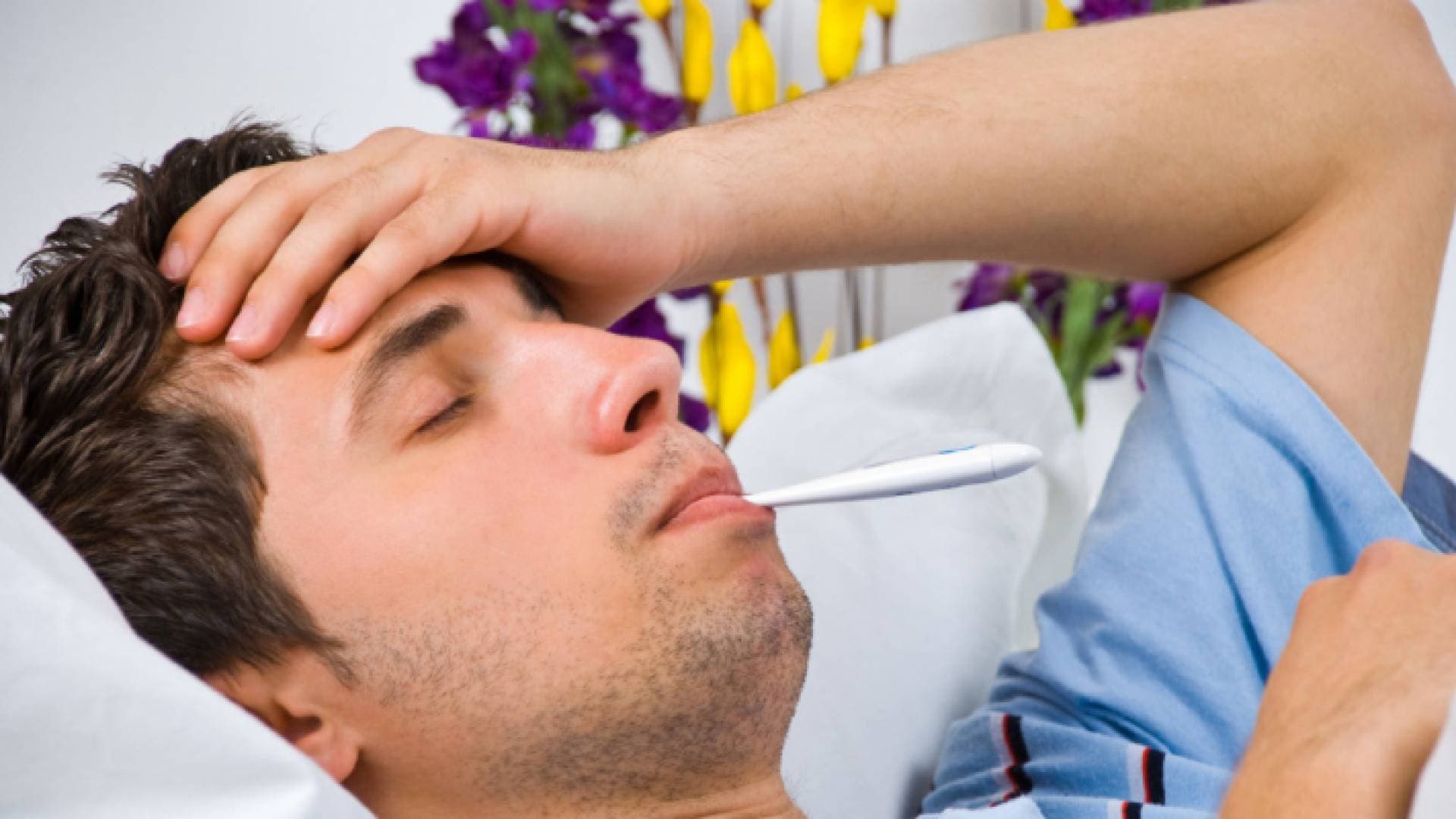 الطراونة: البكتيريا المثيرة للقلق في بريطانيا لا تهدد الأردن