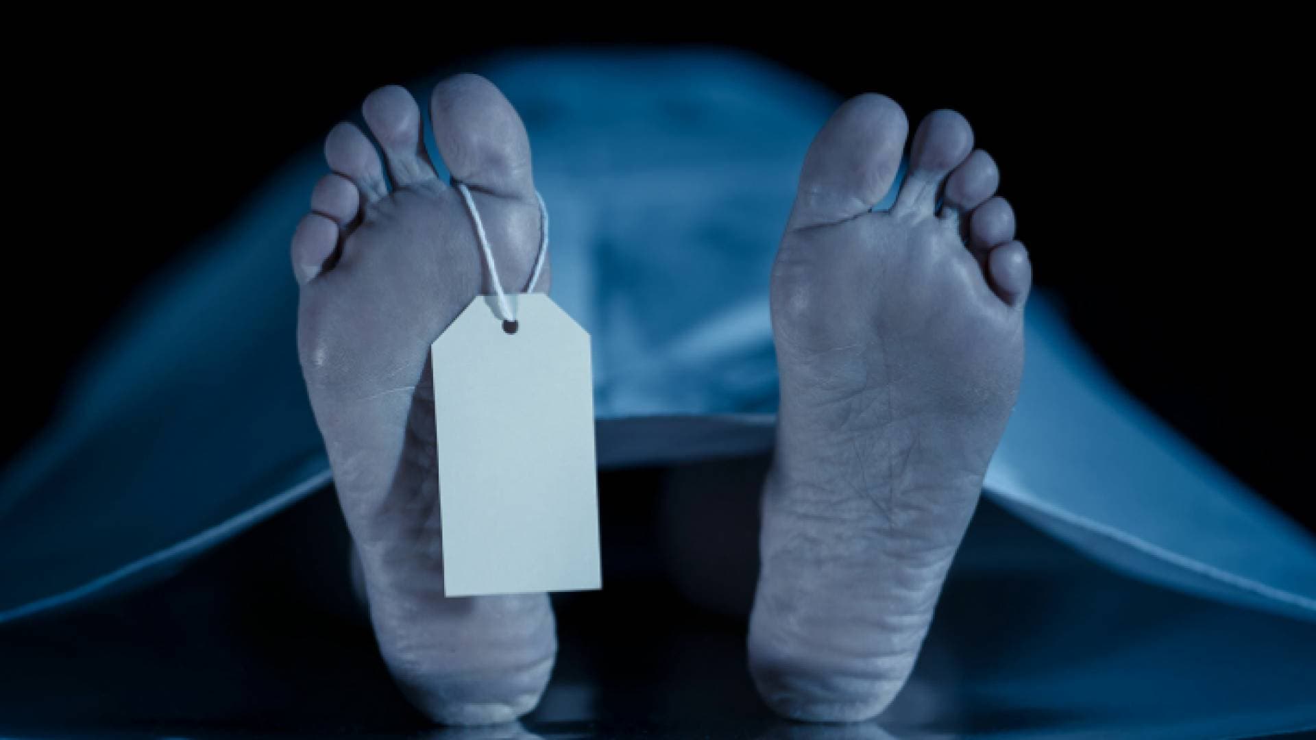 مذبحة أسرية.. شاب يقتل والديه وشقيقه في مصر