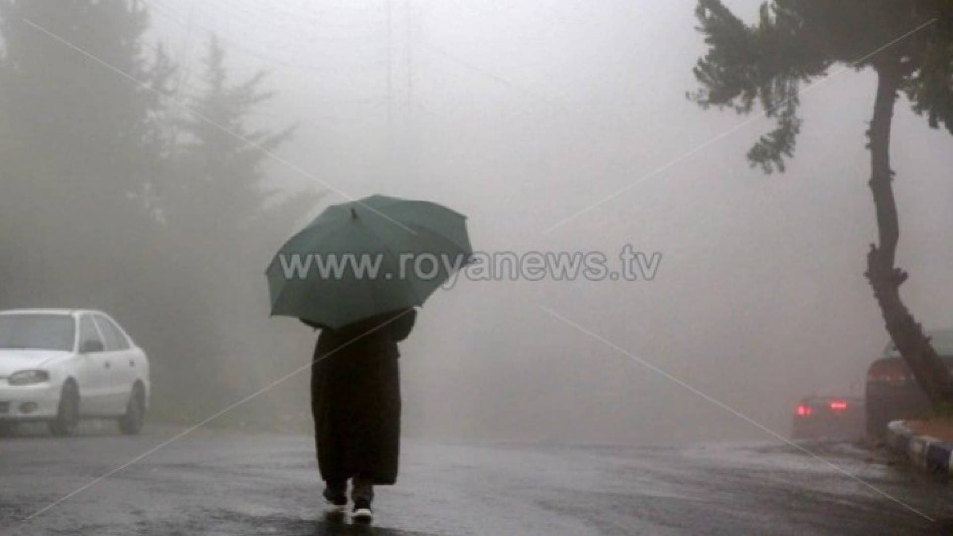 أمطار غزيرة تستمر عدة أيام قادمة إلى الأردن.. تفاصيل وفيديو