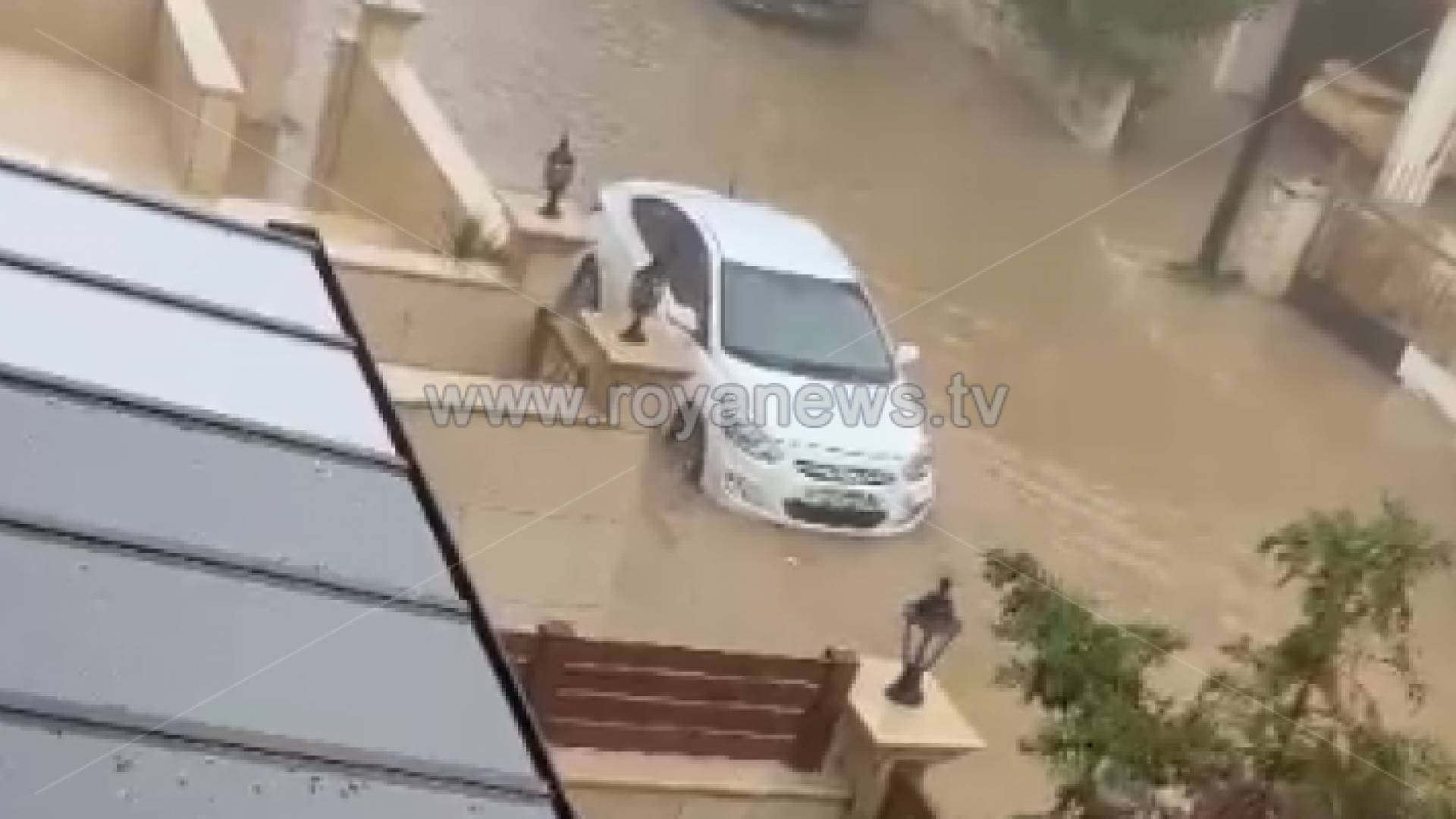 الأمطار الغزيرة تتسبب بغرق مركبات ومداهمة المياه لمنازل في عمان - فيديو