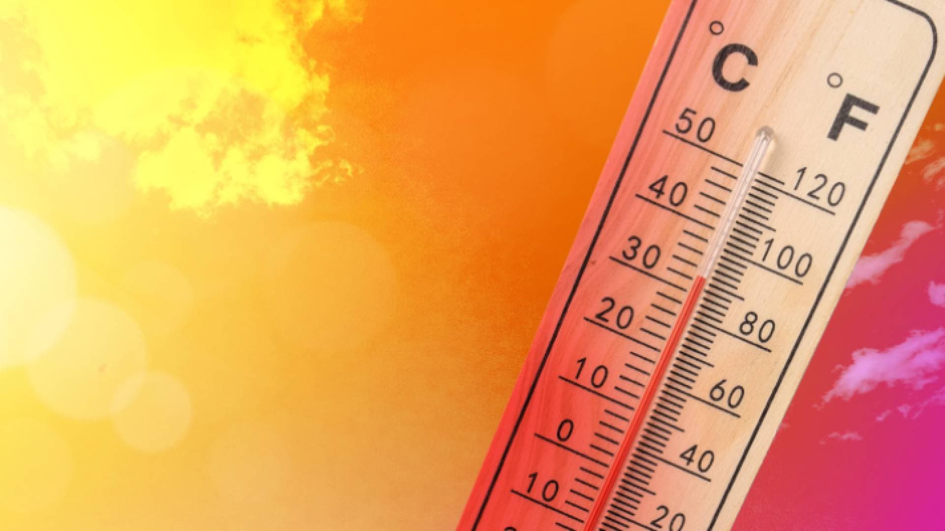 هل يتأثر الأردن بموجات حر قوية خلال شهر تموز؟