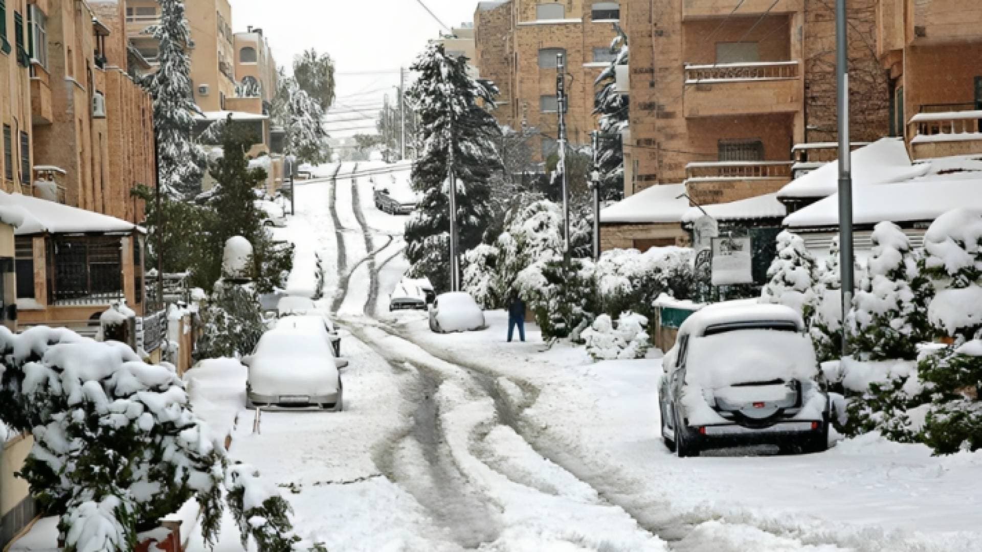 فرص عالية للثلوج.. تعرف إلى التوقعات الموسمية لشتاء ٢٠٢٤