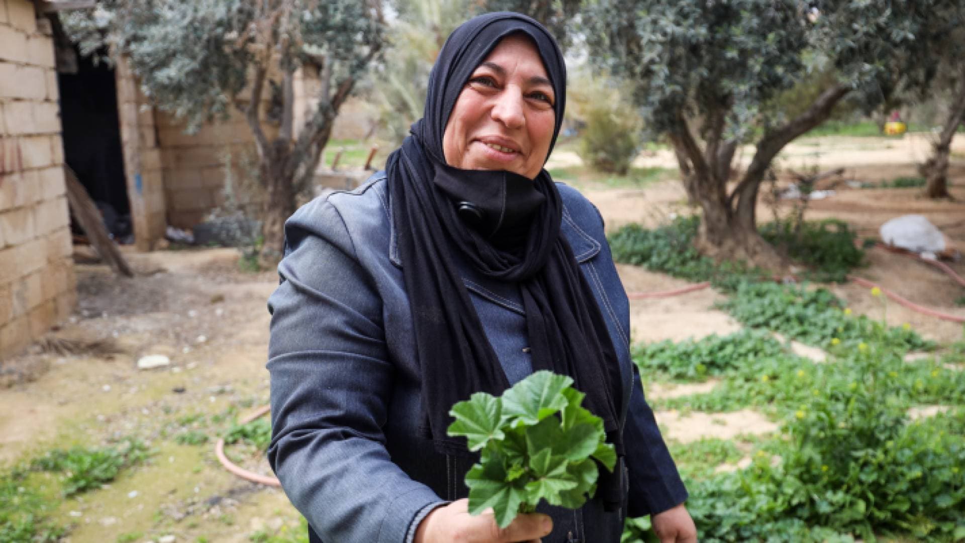 إلى أين وصل الأردن في الأمن الغذائي.. وبماذا دعم المزارعين؟