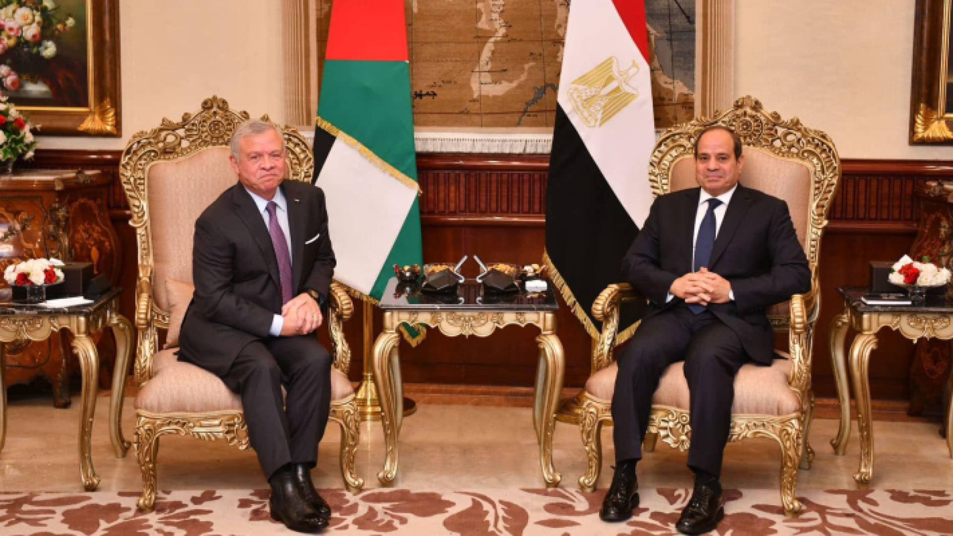 الملك والرئيس المصري يؤكدان ضرورة الاستمرار بالضغط لوقف إطلاق النار في غزة