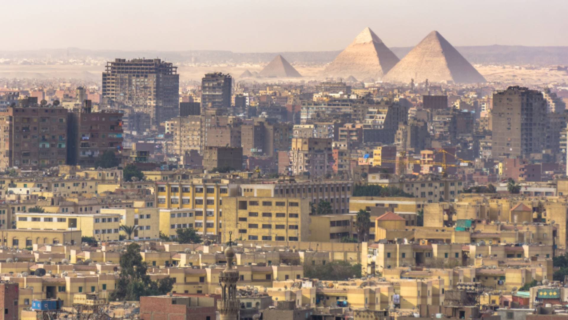 وفد إلى القاهرة.. ما الجديد وكيف سترد حماس على مقترح الهدنة؟