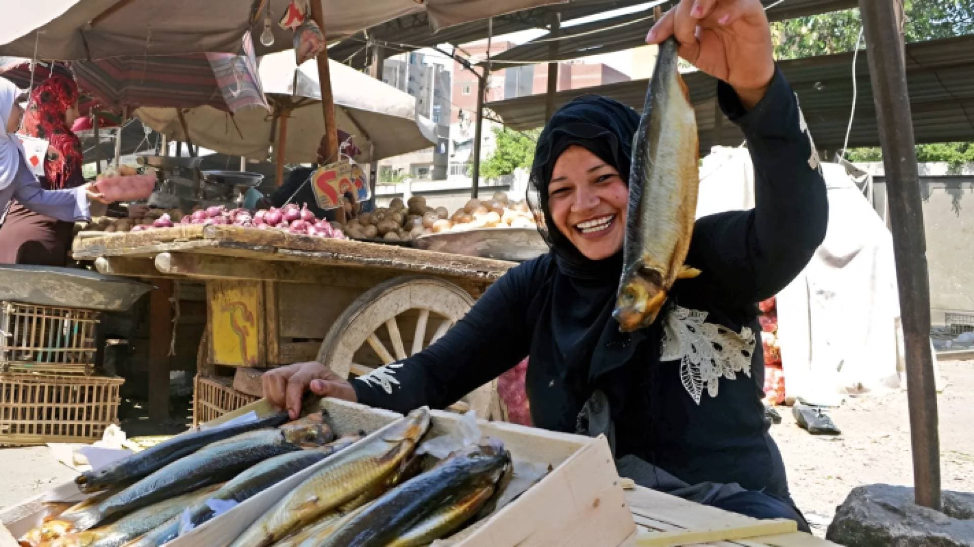 "شم النسيم".. المصريون يحتفلون بأقدم الأعياد في العالم