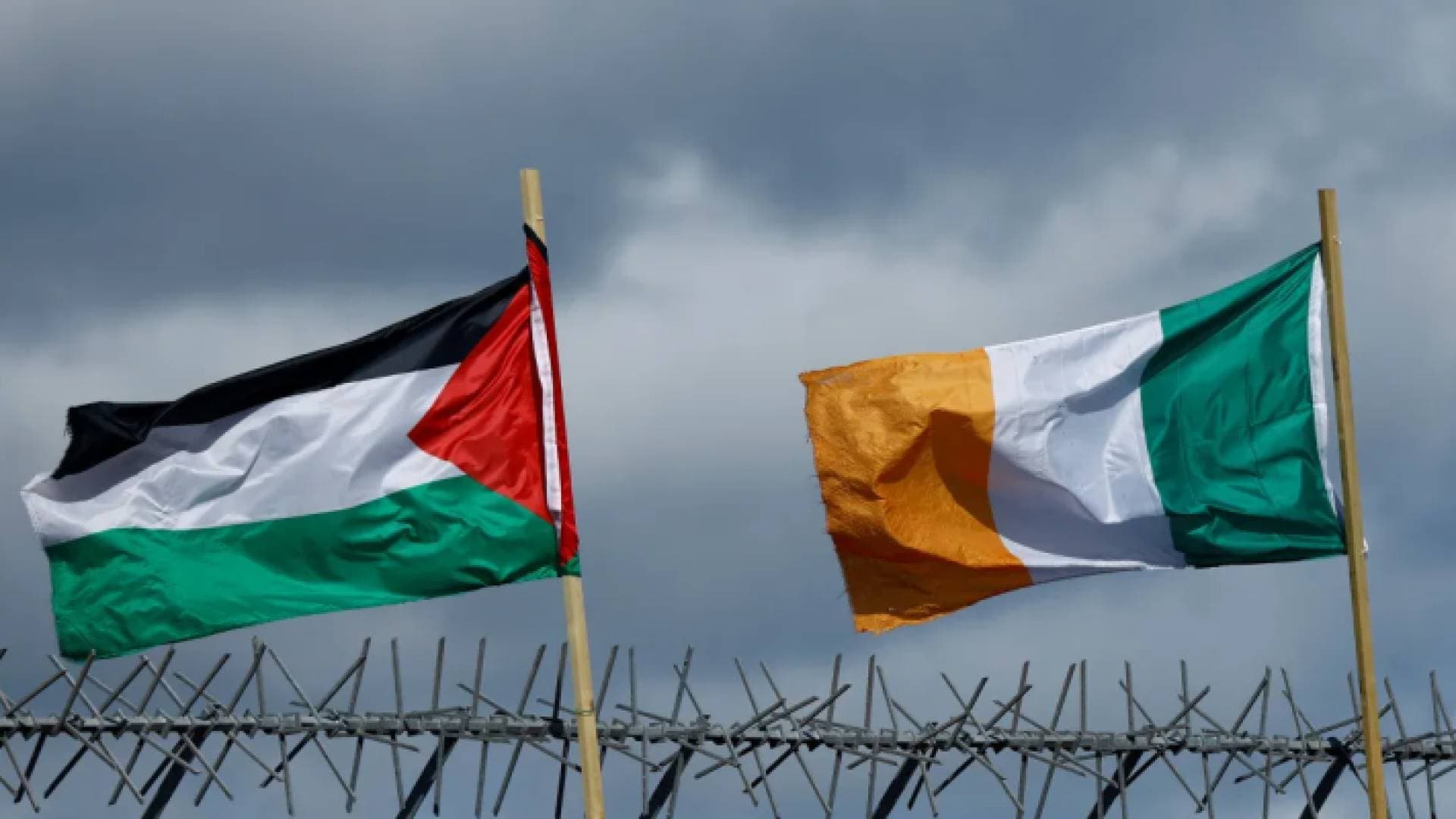 علاقات دبلوماسية كاملة.. أيرلندا تعترف رسميا بدولة فلسطين - فيديو