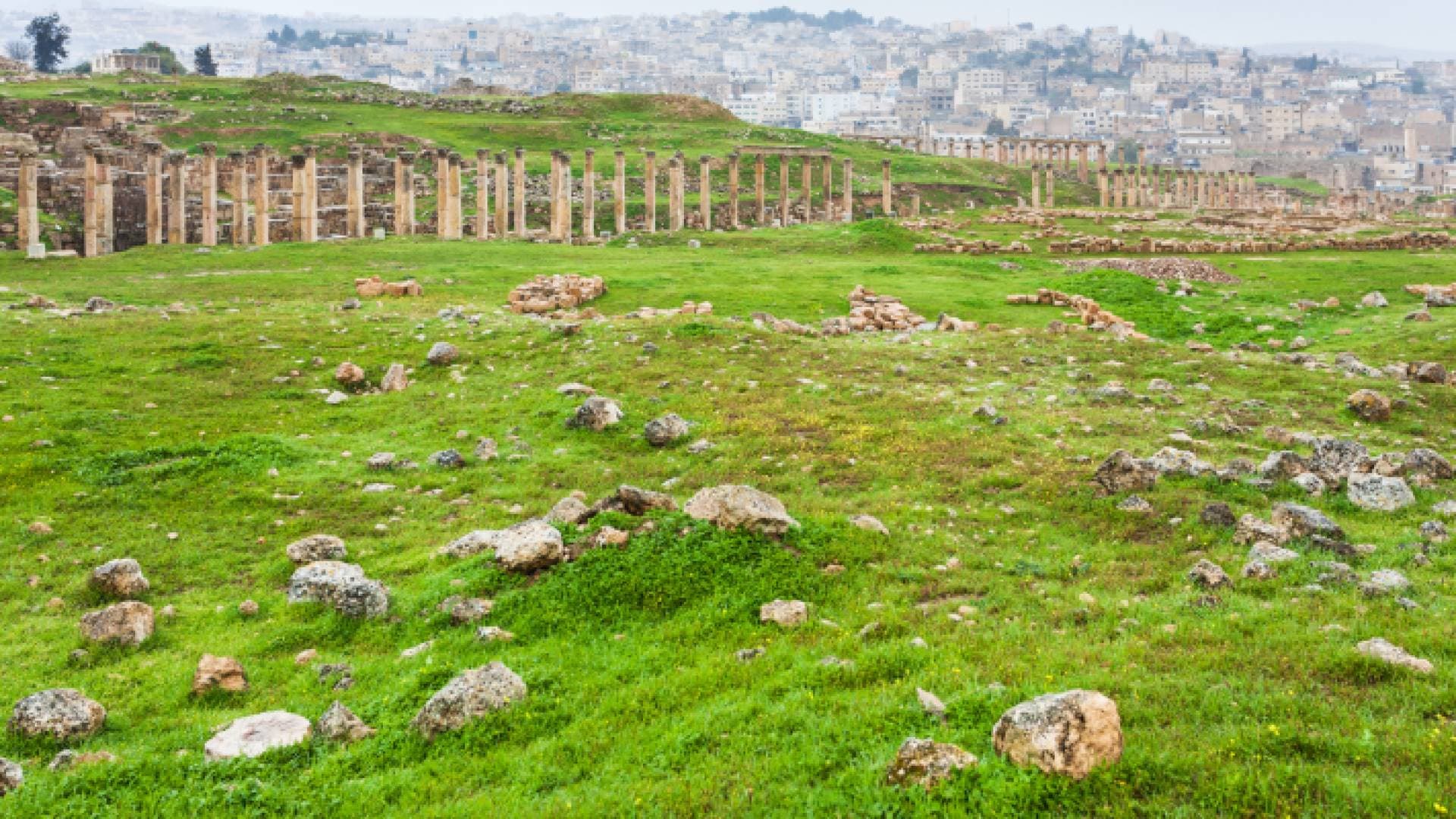 طقس مناسب للرحلات في الأردن الجمعة