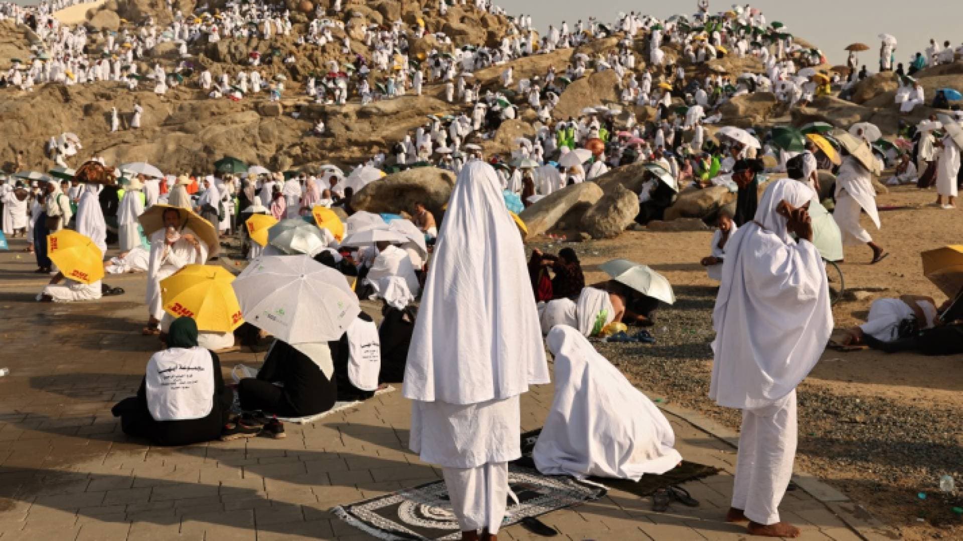نحو ٢ مليون حاج.. السعودية تعلن نسب وأعداد ضيوف الرحمن