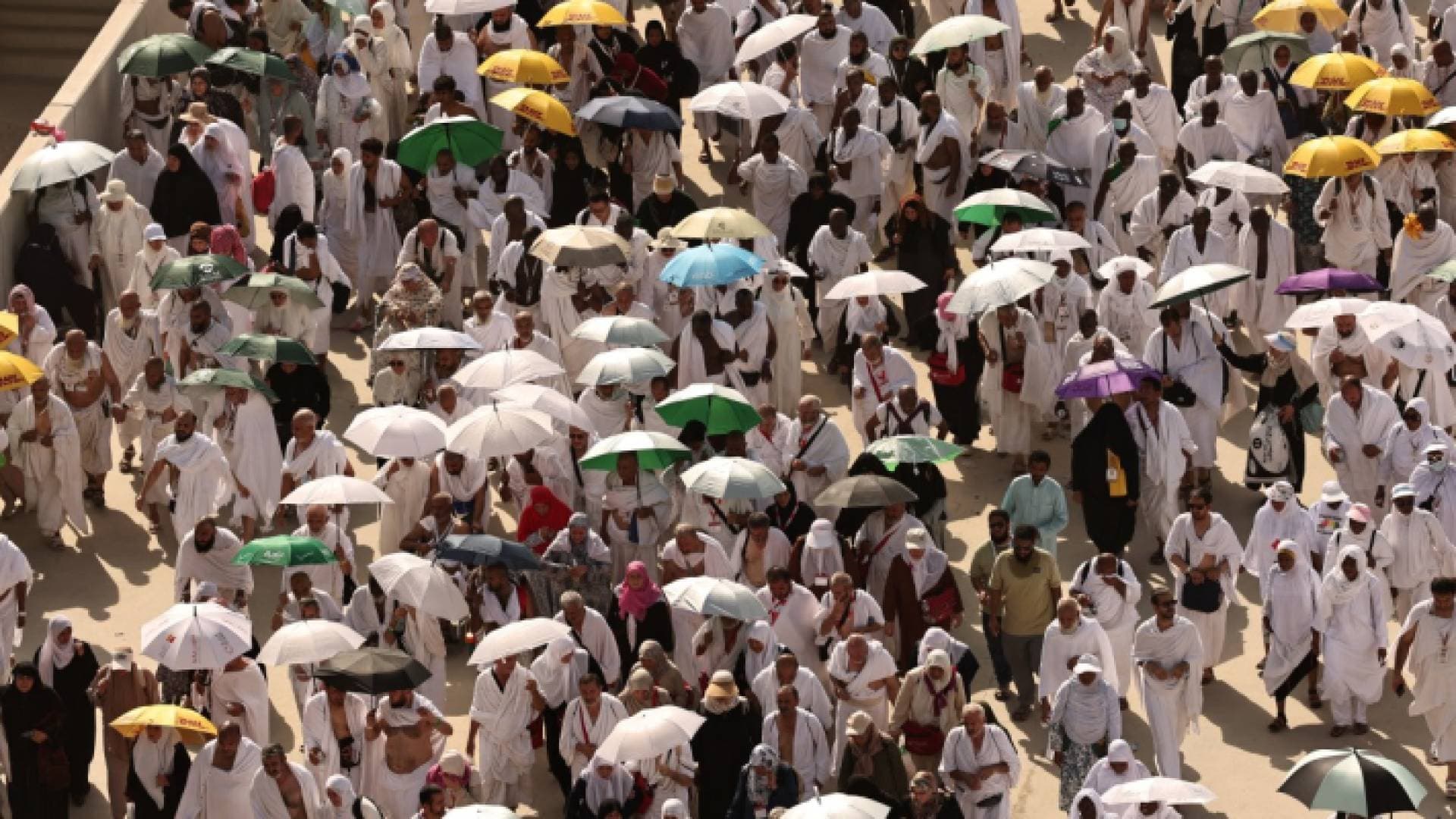 مصدر مسؤول: تحريات تجرى حول ملابسات وظروف خروج حجاج غير نظاميين من الأردن - فيديو