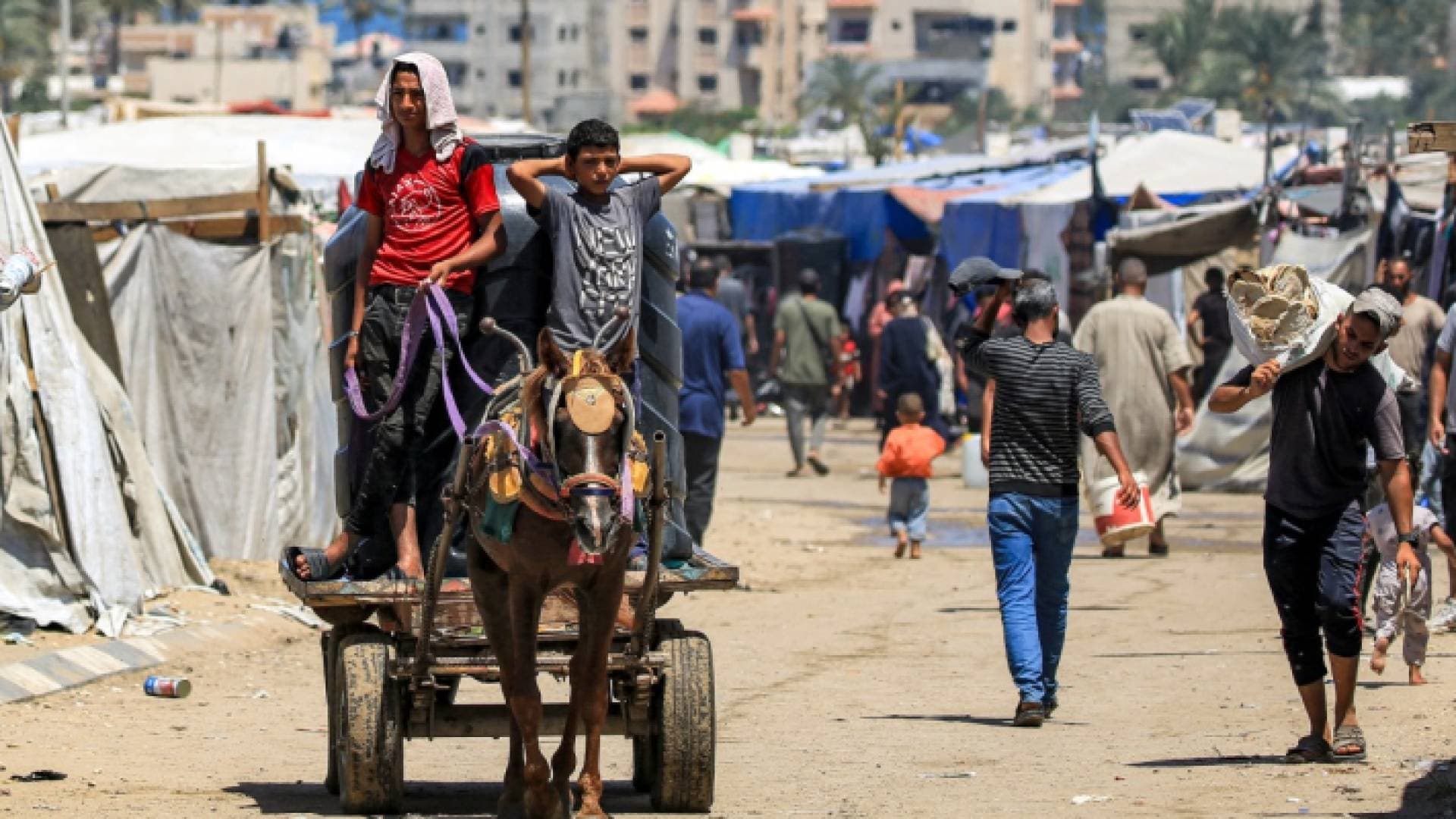 تحت لهيب القصف.. جيش الاحتلال يخلي حي الشجاعية قسرا - صورة