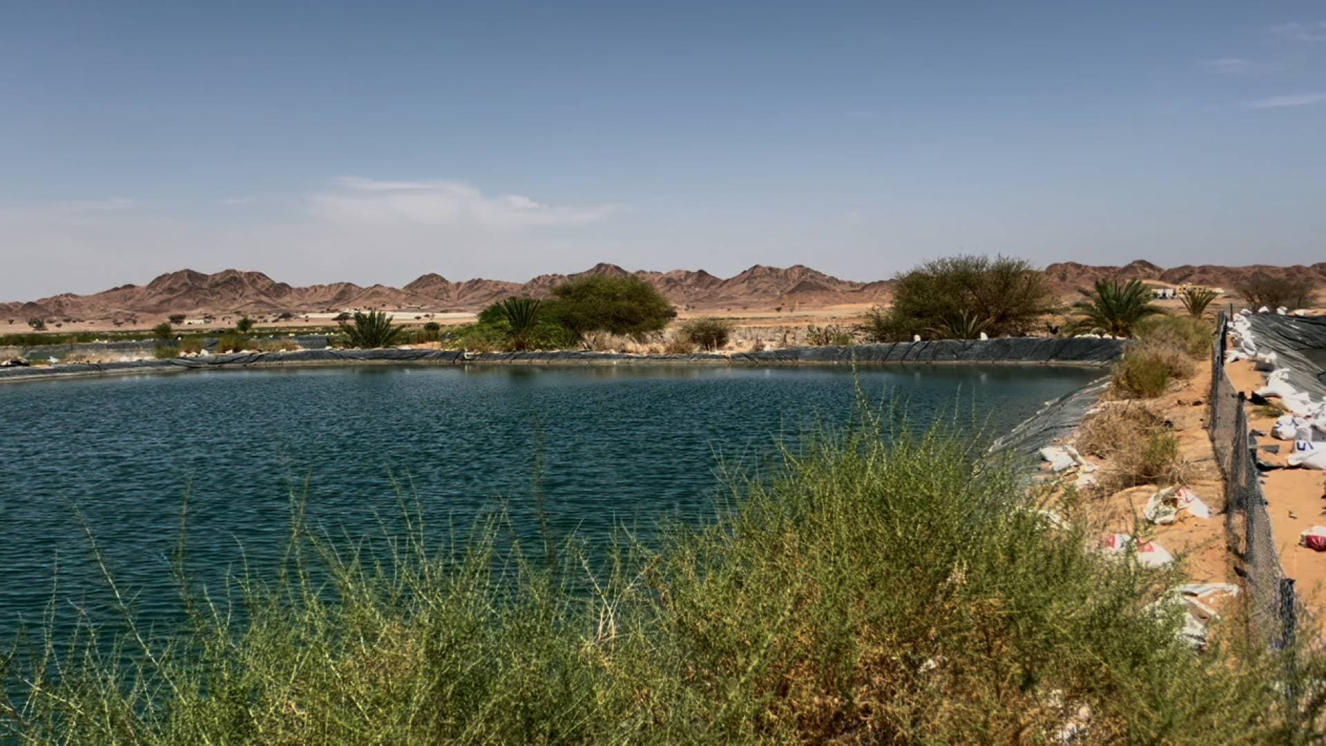فيديو - تحديات "الجمعيات التعاونية": تعثر مالي وغياب صندوق المخاطر