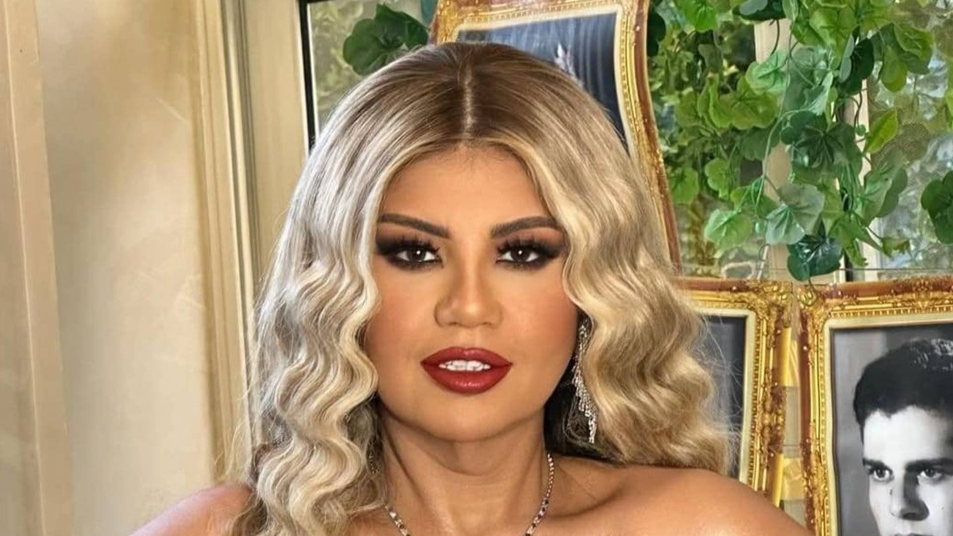بوسي شلبي ترد عبر محاميها على ورثة محمود عبد العزيز: "الإجراءات القضائية لم تنته"