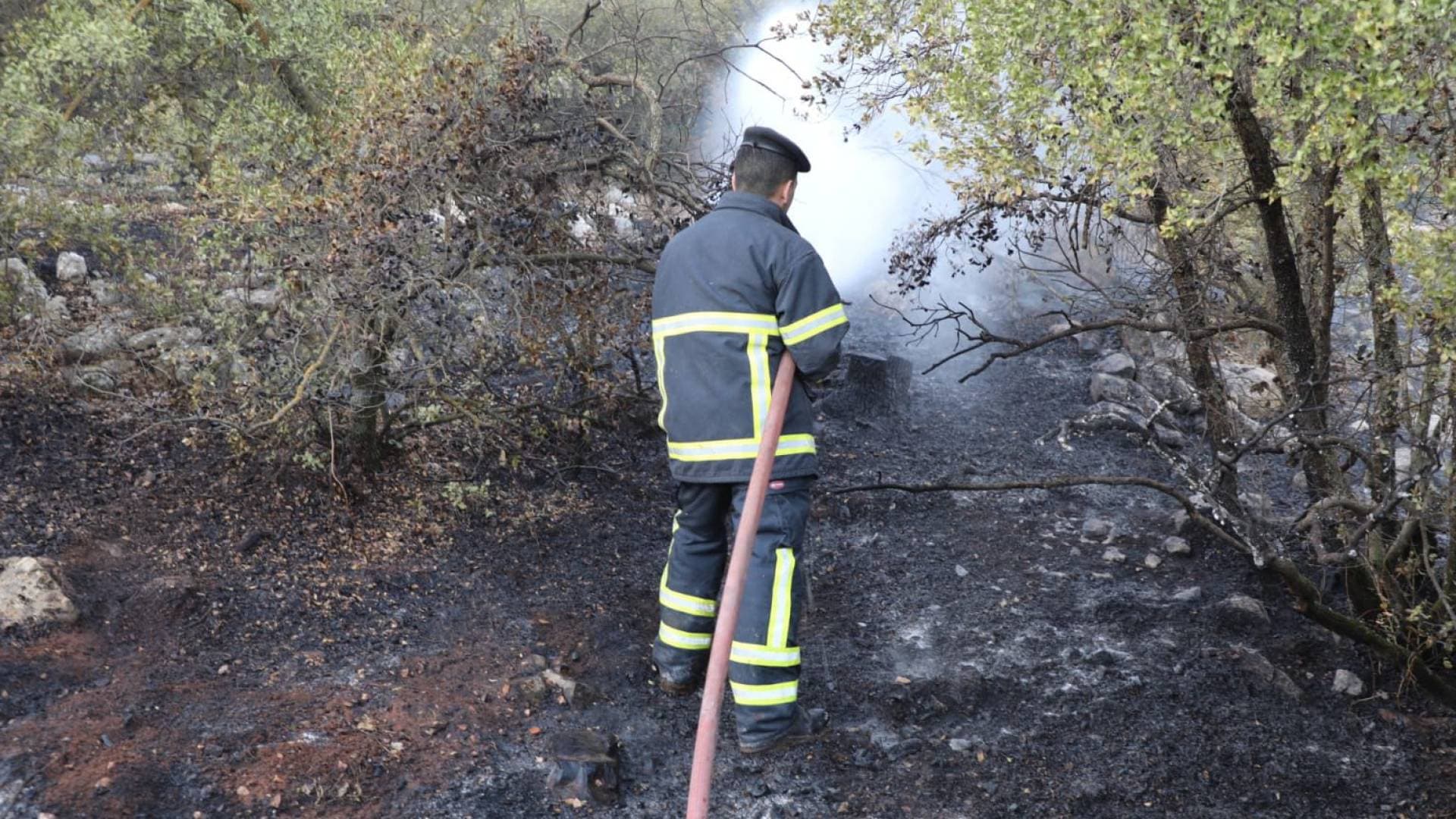 وزارة الزراعة: الجمر تحت الأشجار يؤدي أحيانا إلى اشتعال جزئي لبعض الأشجار مع نشاط الرياح