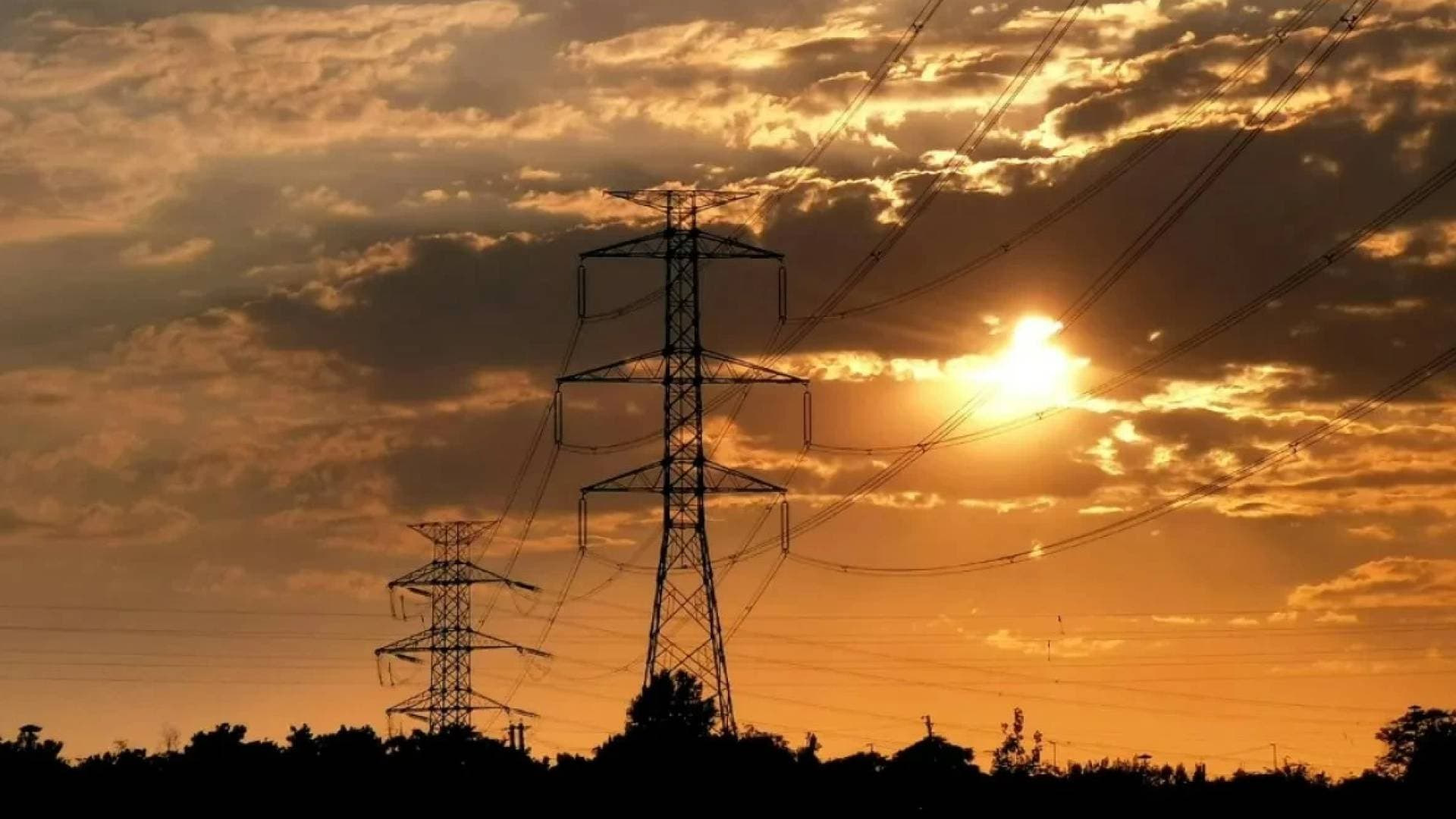 خبير إدارة أزمات يحذر من موجة الحر غير المسبوقة ويدعو لوضع تشريعات.. والإرشاد الزراعي يوجه نصائح للمزارعين - فيديو