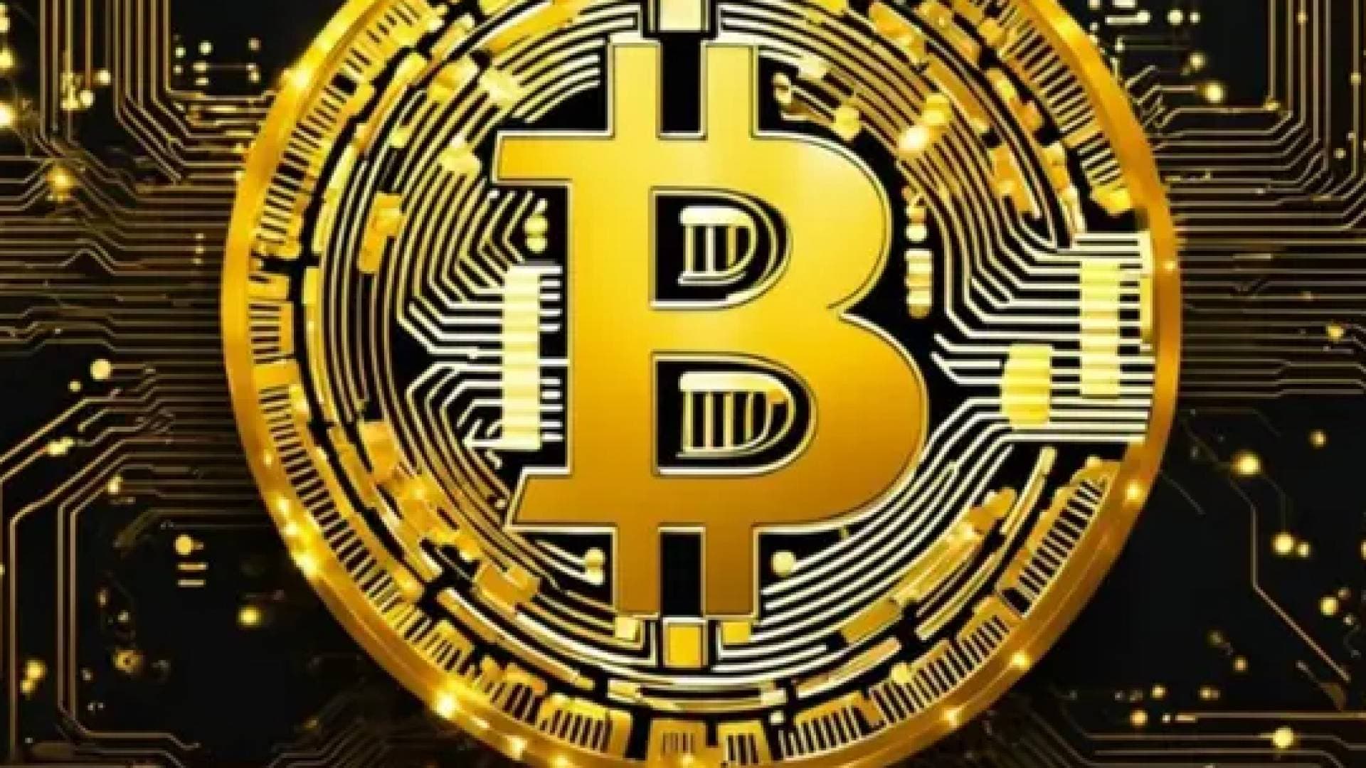 سعر بيتكوين .. ارتفاع قرب 113 ألف دولار مع عودة التركيز على خفض الفائدة