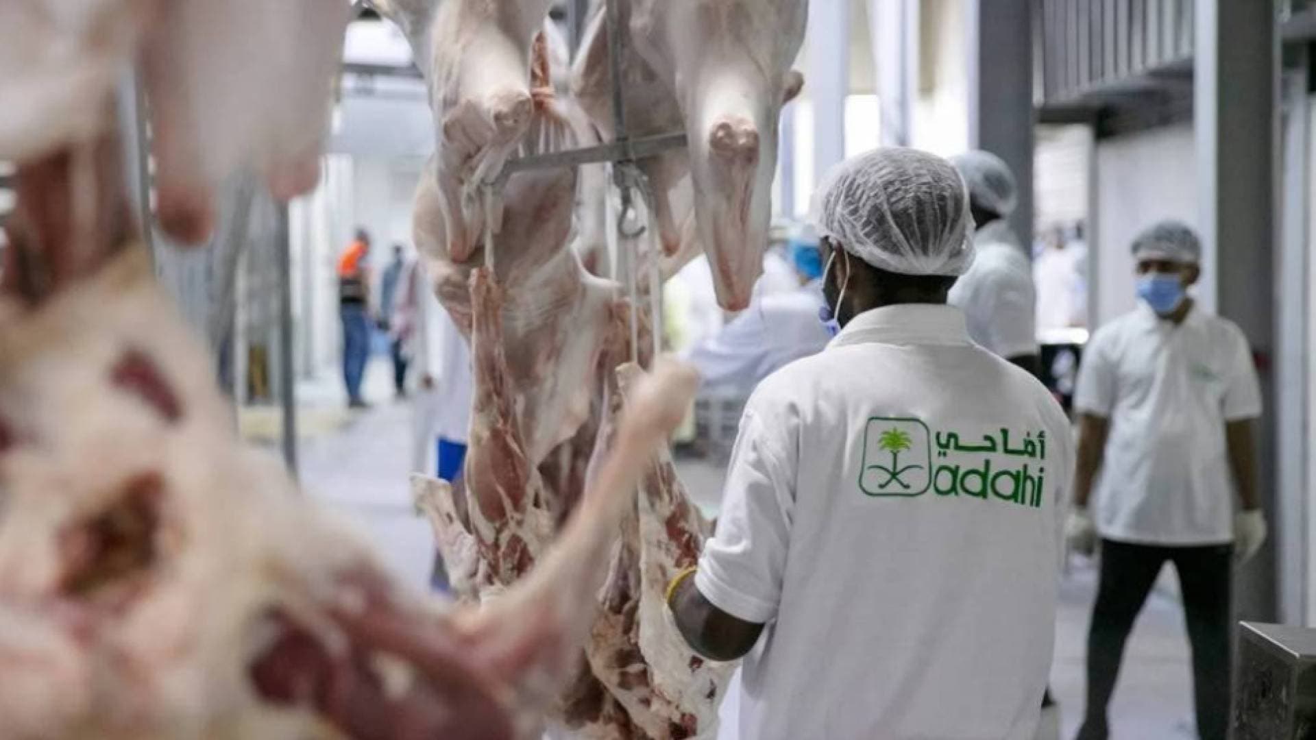 مشروع "للإفادة من الهدي والأضاحي" السعودية توزع 20 ألف أضحية إلى الأردن