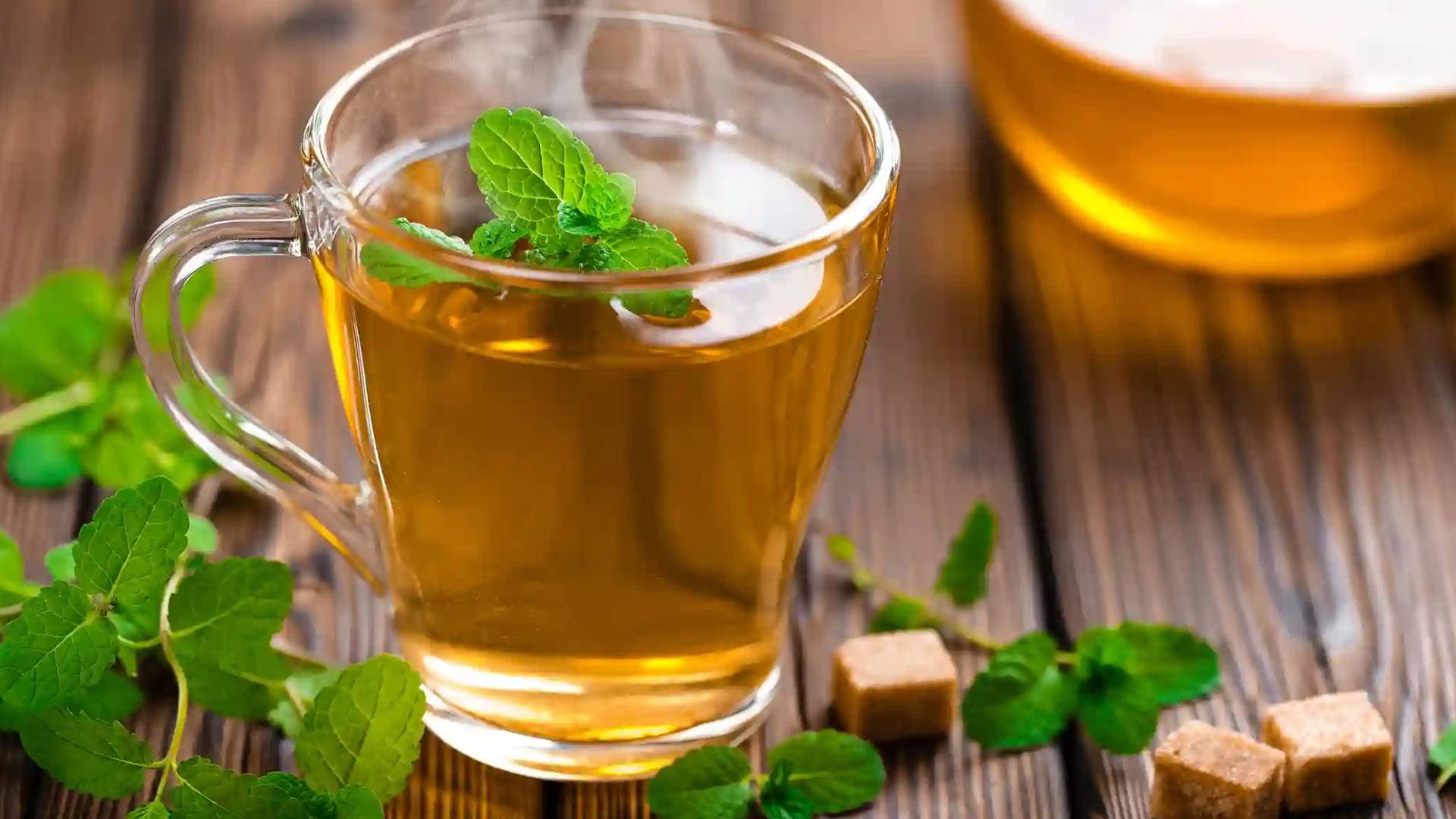 جدول الشاي المثالي حسب أنواعه لصحة أفضل من الصباح حتى المساء