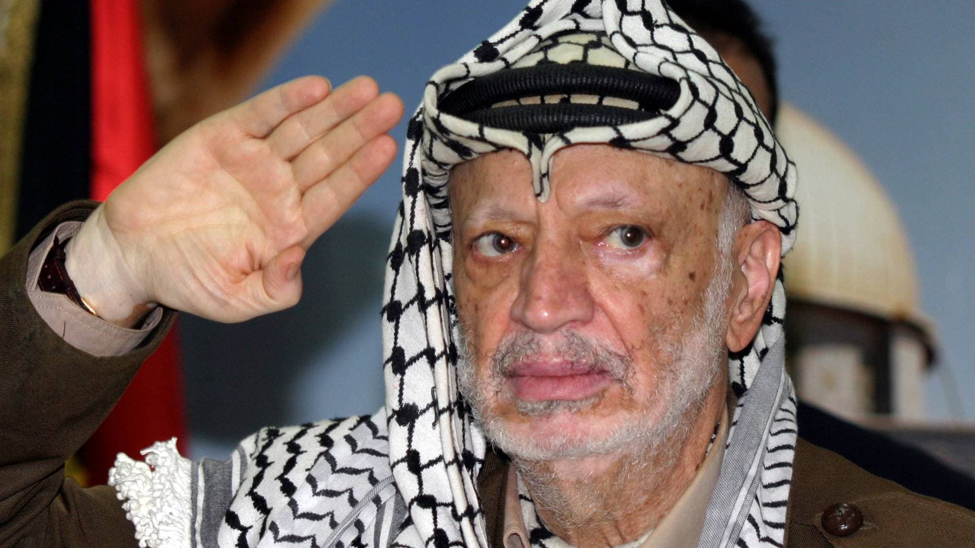 "لا تسقطوا الغصن الأخضر من يدي".. ذكرى خطاب ياسر عرفات التاريخي -فيديو
