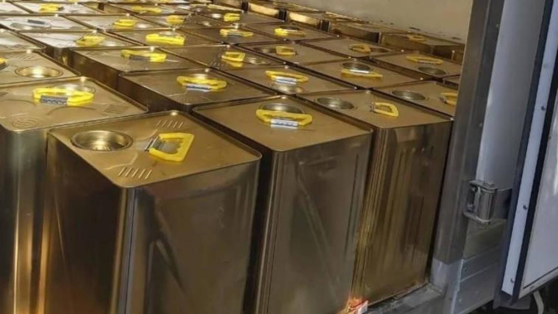 الزراعة لـ"رؤيا أخبار": وصول 5800 طن زيت زيتون نهاية شهر ديسمبر لسد "فجوة الإنتاج"