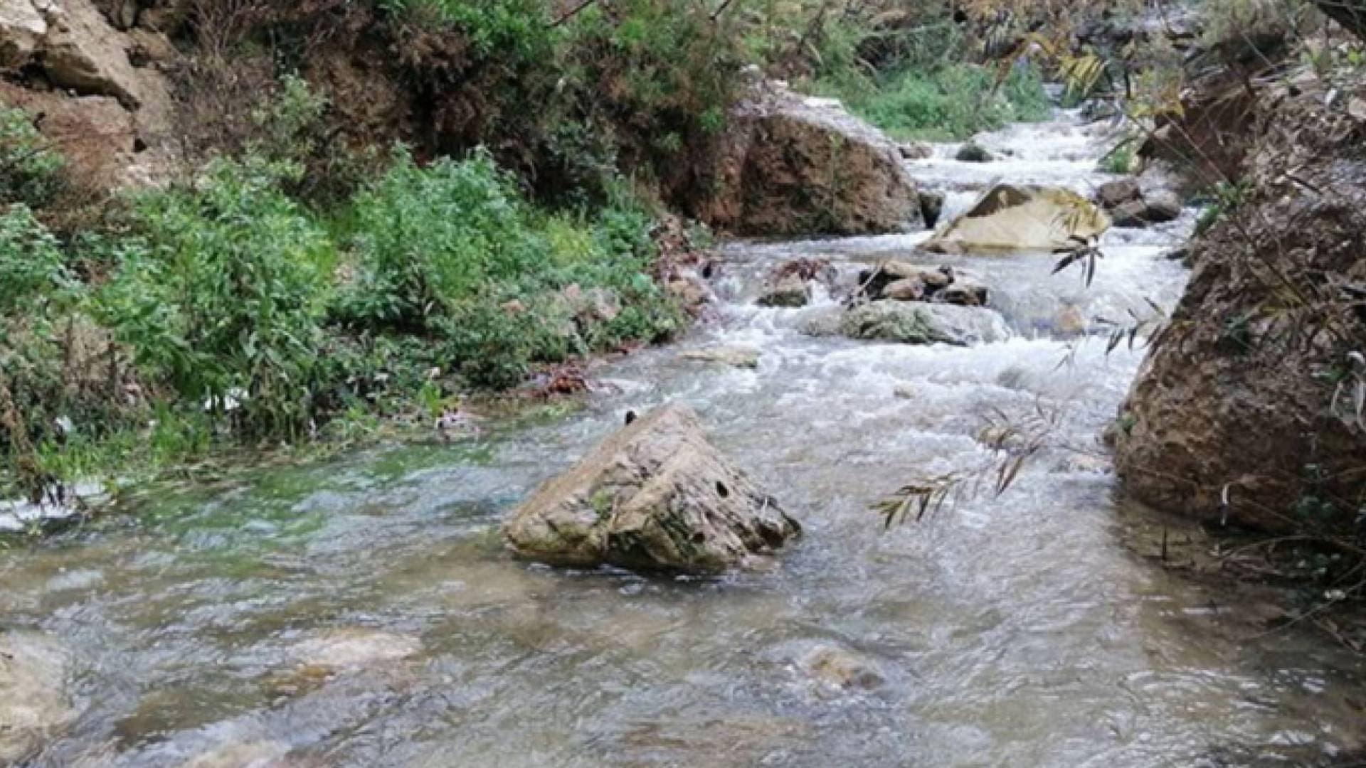 مراسل"رؤيا": تفجر ينابيع وجريان وادي كفرنجة (وادي الطواحين التاريخي) ينعشان المزروعات والطبيعة