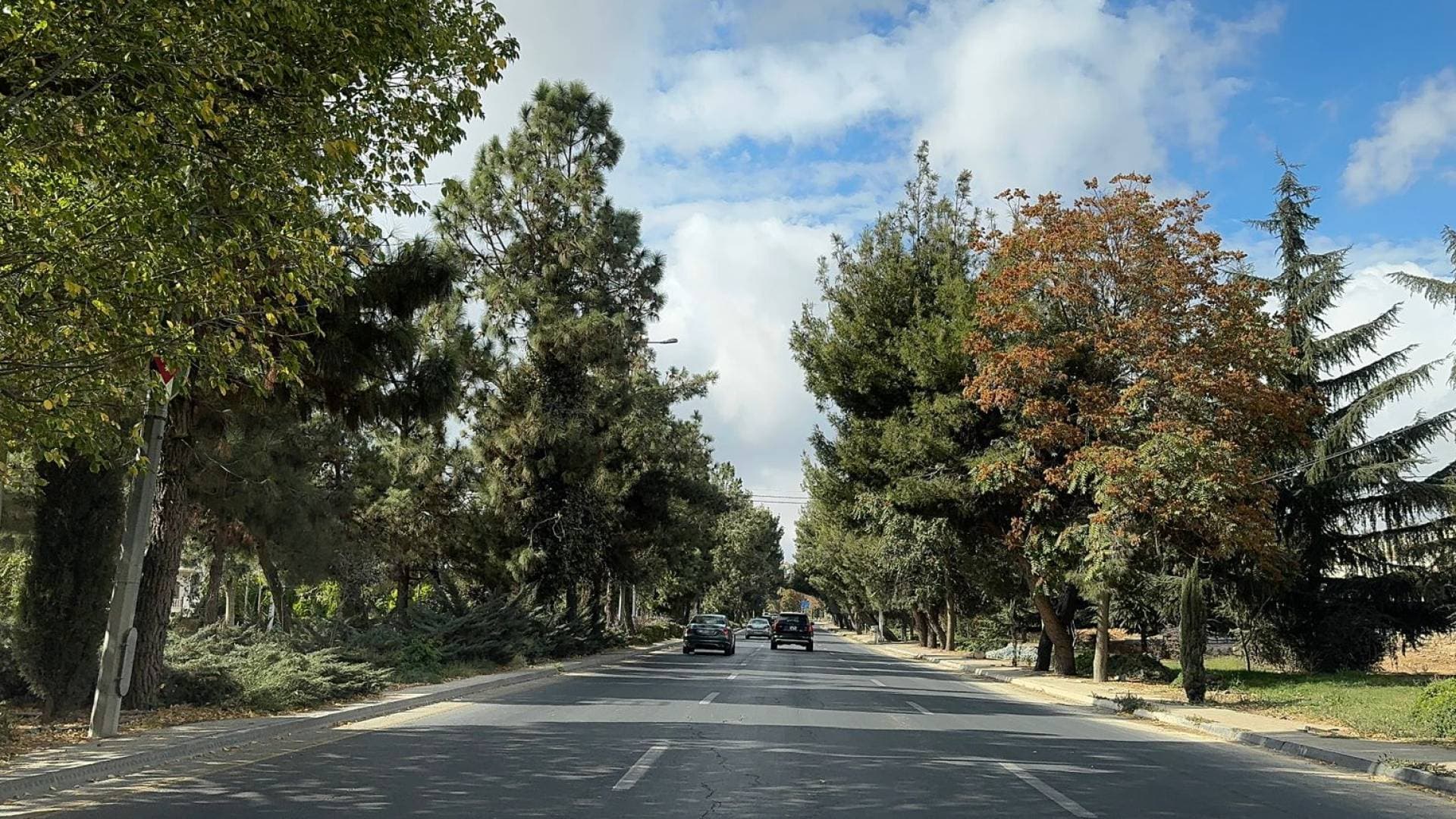 استقرار جوي وتحسن تدريجي على درجات الحرارة في الأردن حتى نهاية الأسبوع