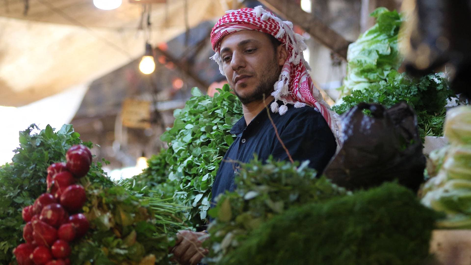 سلة الغذاء الأردنية تنتعش: 2595 طنا من الخضار تتدفق إلى "مركزي عمان"