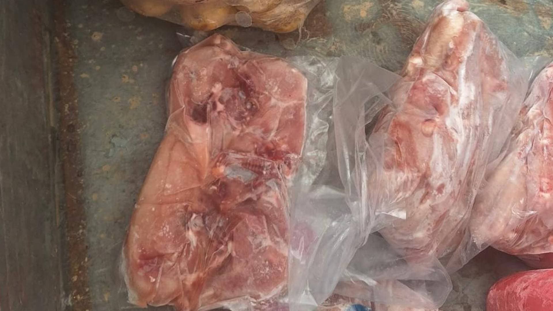 "الغذاء والدواء" تتلف 240 كغم دجاجا مجمدا ضبط داخل مركبة في إربد