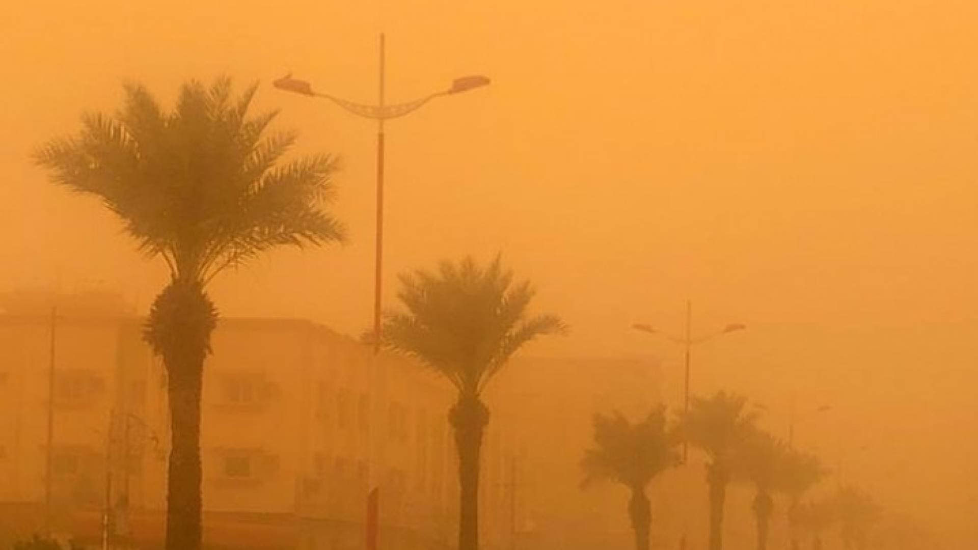الأرصاد الجوية تحذر من غبار كثيف يعيق الرؤية وارتفاع طفيف على درجات الحرارة الخميس