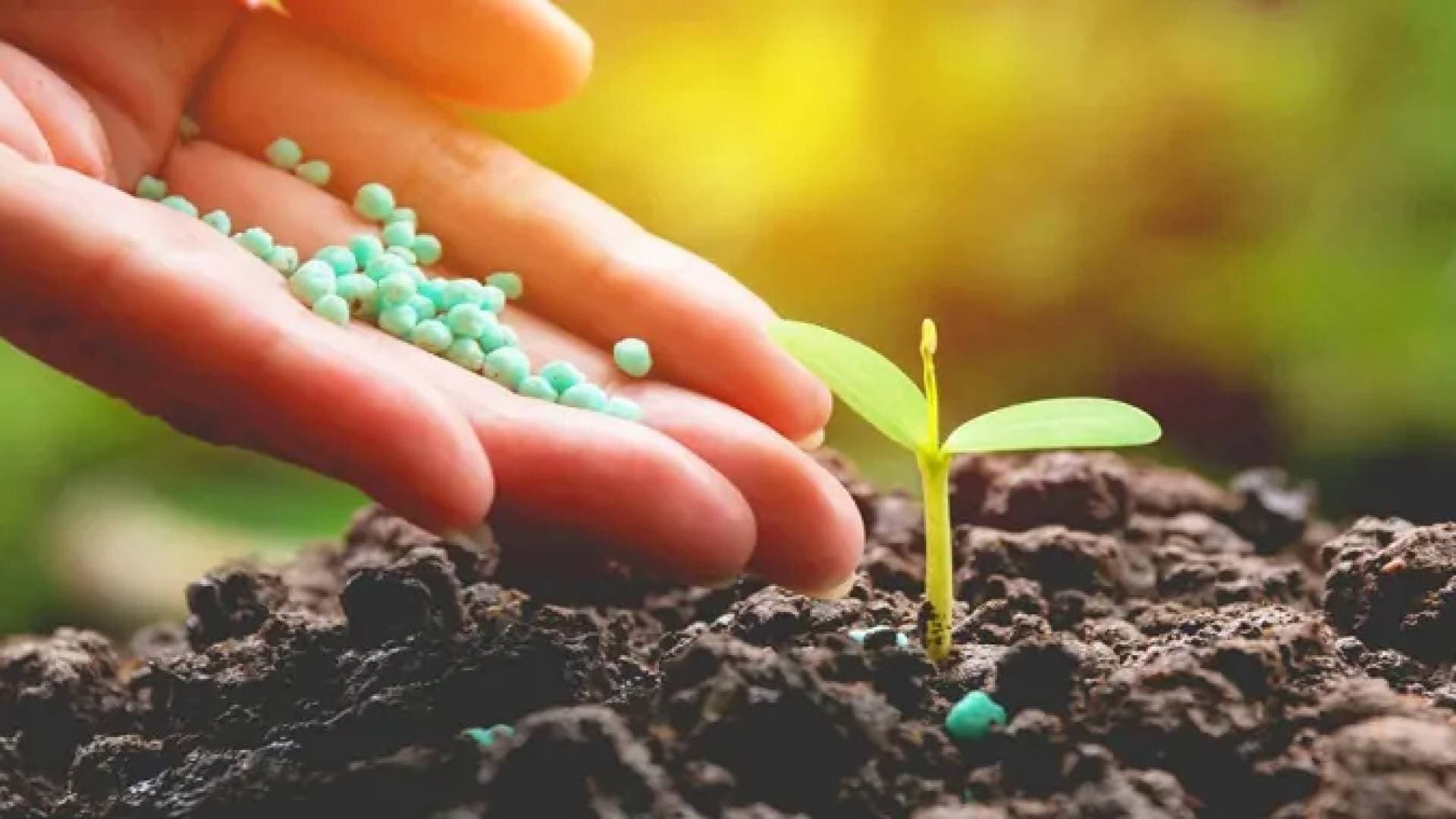 استثمار بمليار دولار: الأردن يخطو نحو إنتاج الأمونيا والهيدروجين الأخضر بحلول 2030