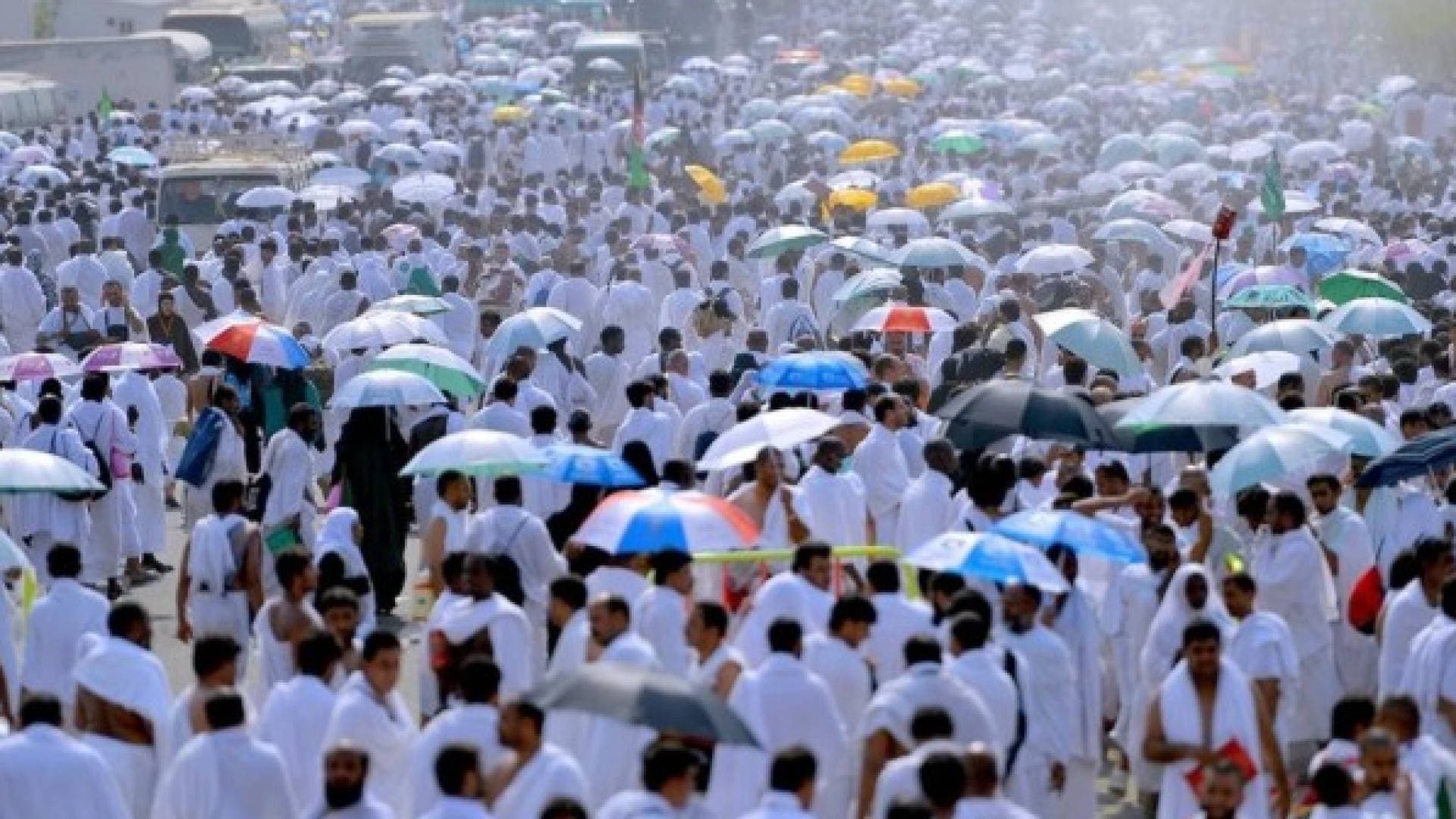 بـ 24 ألف حافلة.. السعودية تبدأ تفويج الحجاج إلى مشعر منى لقضاء يوم التروية