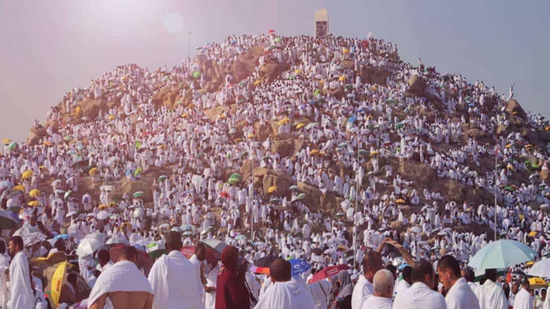 ملايين الحجاج يقفون على صعيد عرفات الطاهر لأداء ركن الحج الأعظم