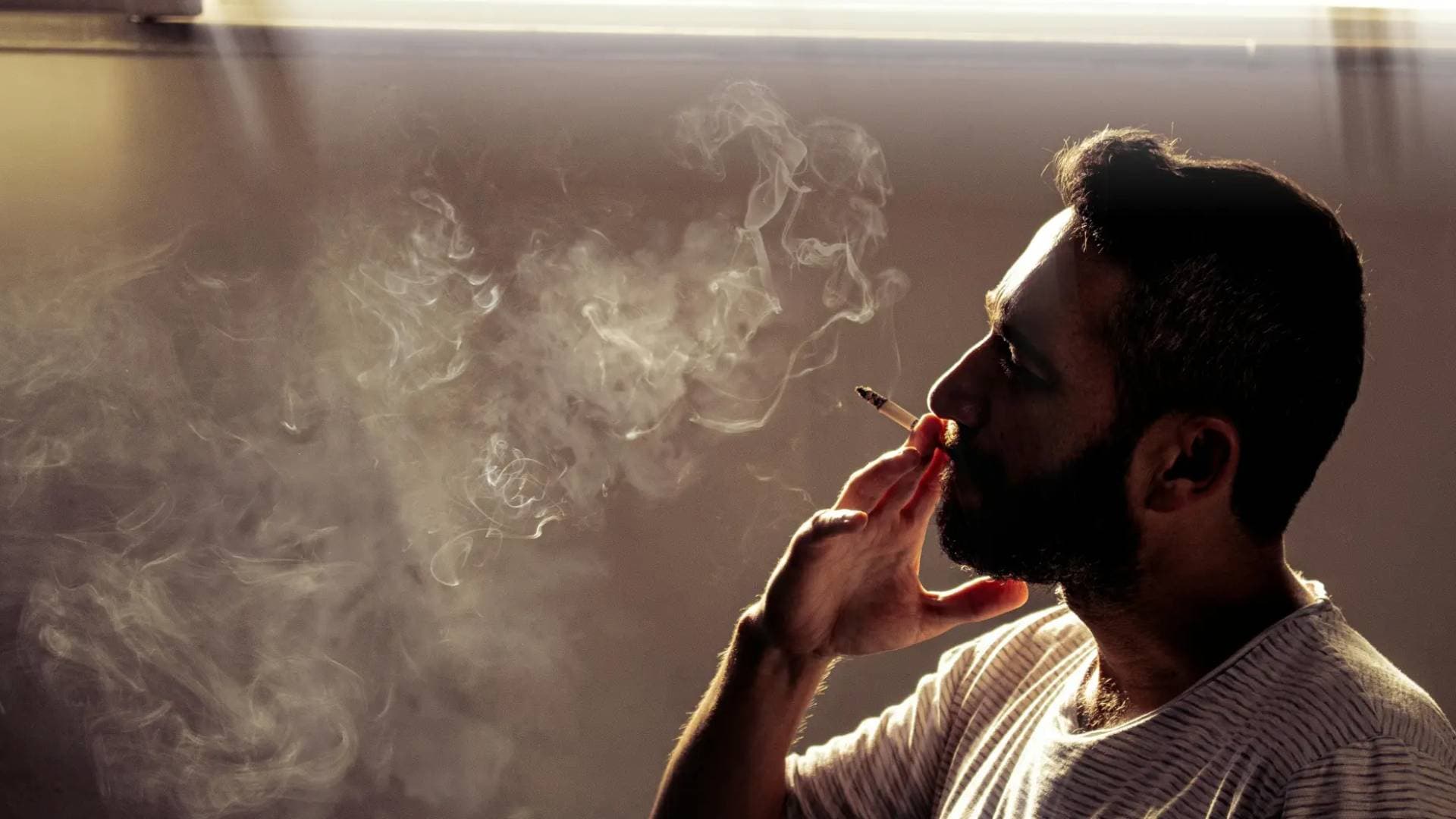 بمناسبة اليوم العالمي للامتناع عن التدخين.. أمانة عمان تستعرض إنجازاتها لحماية الصحة العامة