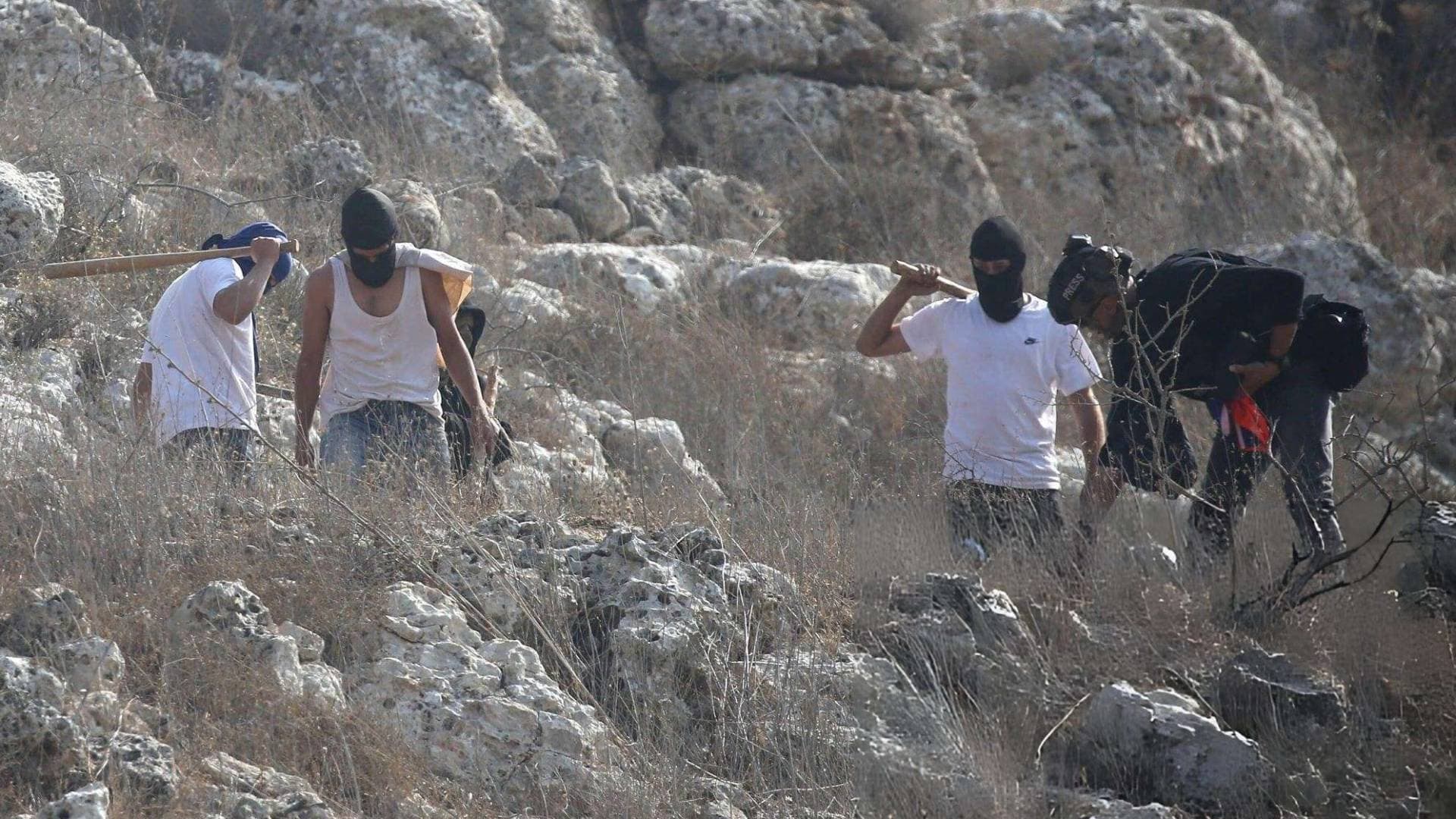 خطة حكومية للاحتلال لتمويل تنظيم "شبيبة التلال" الاستيطاني في الضفة الغربية
