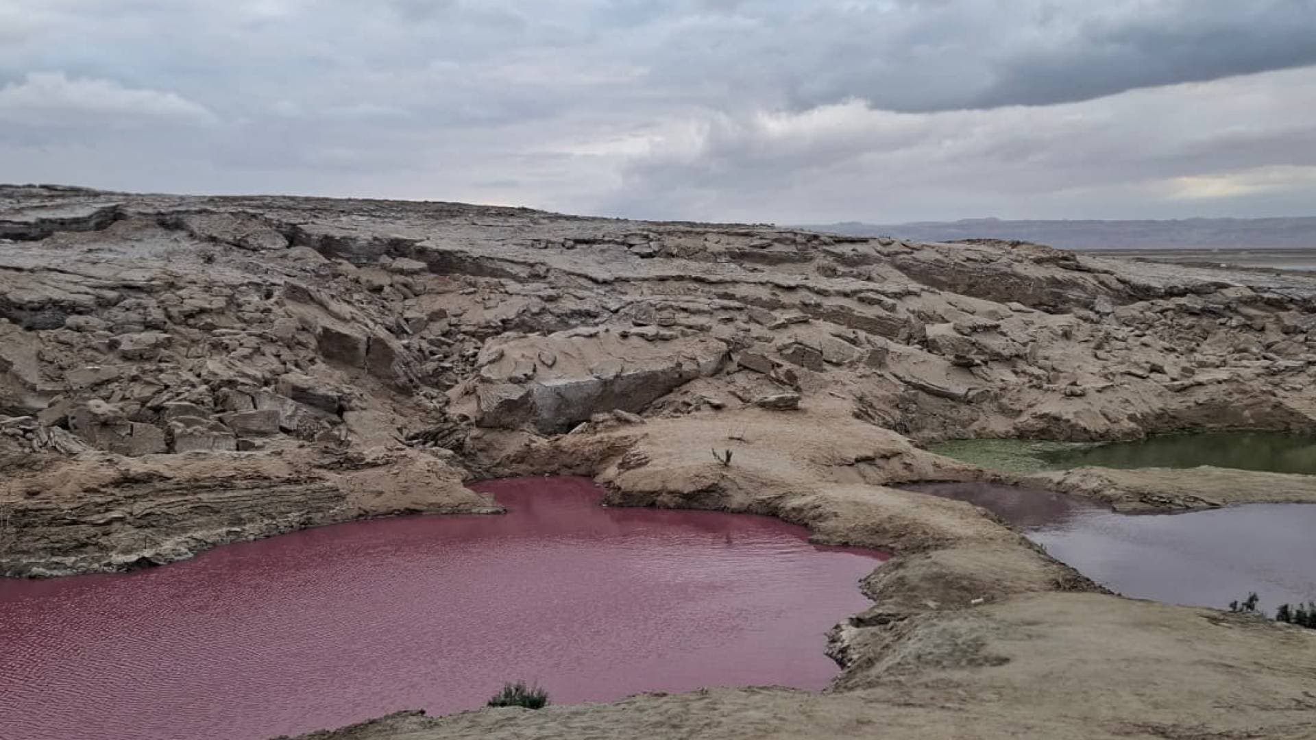 أبو كركي لـ"رؤيا": البرك الملونة في البحر الميت شديدة الخطورة ويجب الابتعاد عنها.. فيديو
