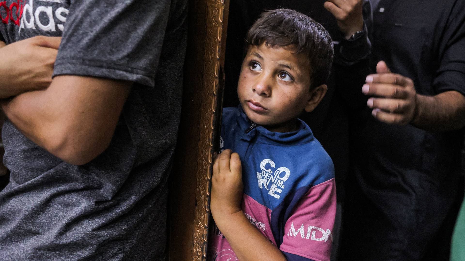الصفدي: الأردن يبني جسورا لإنقاذ أطفال غزة وإسرائيل تعرقل عودتهم