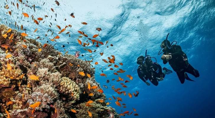 ولي العهد عبر انستغرام: مبارك للأردن إدراج محمية العقبة البحرية على قائمة اليونسكو